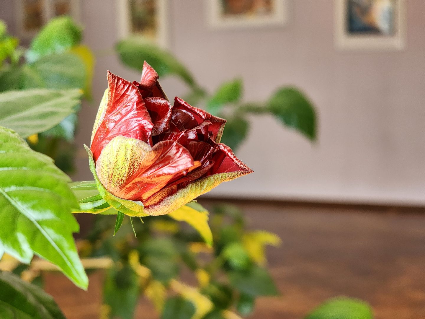 творческий сезон,   набор в кружки, центр культуры, старая купавна, богородский городской округ,