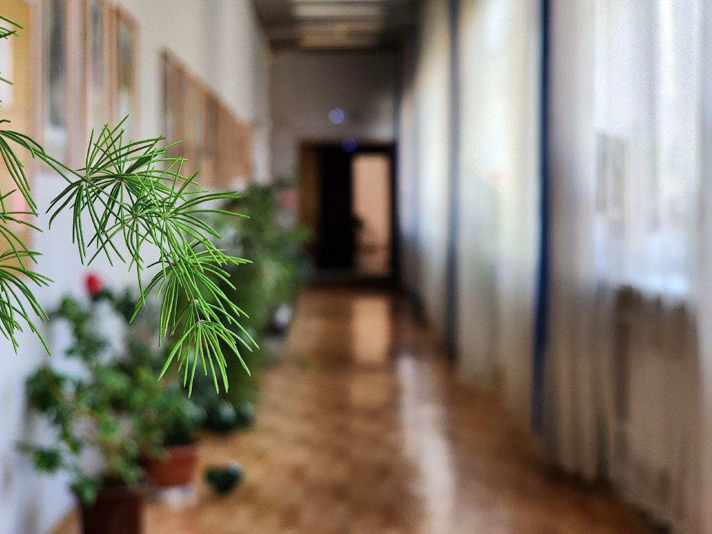 творческий сезон,   набор в кружки, центр культуры, старая купавна, богородский городской округ,