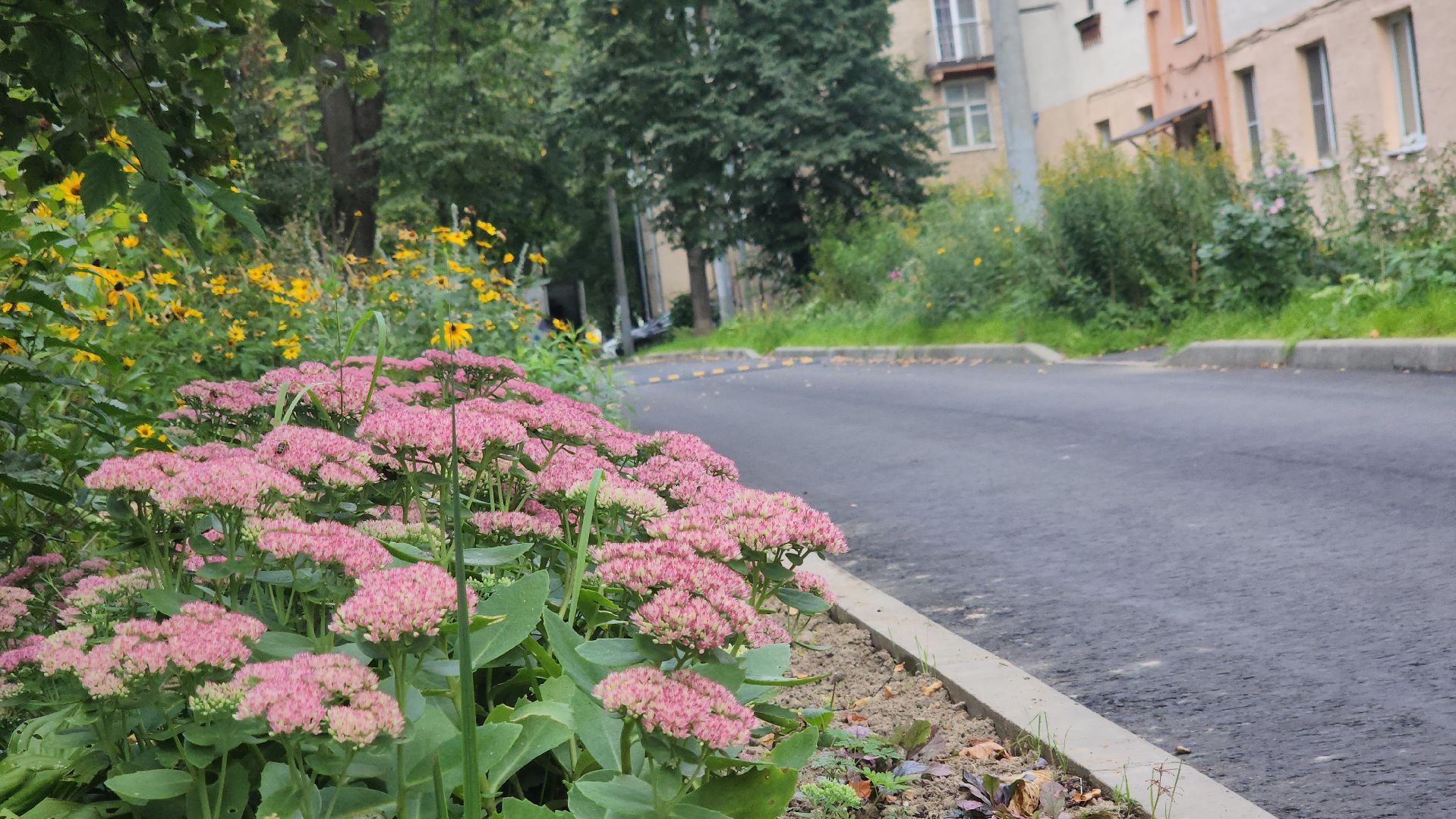 щёлково, монино, благоустройство двора,