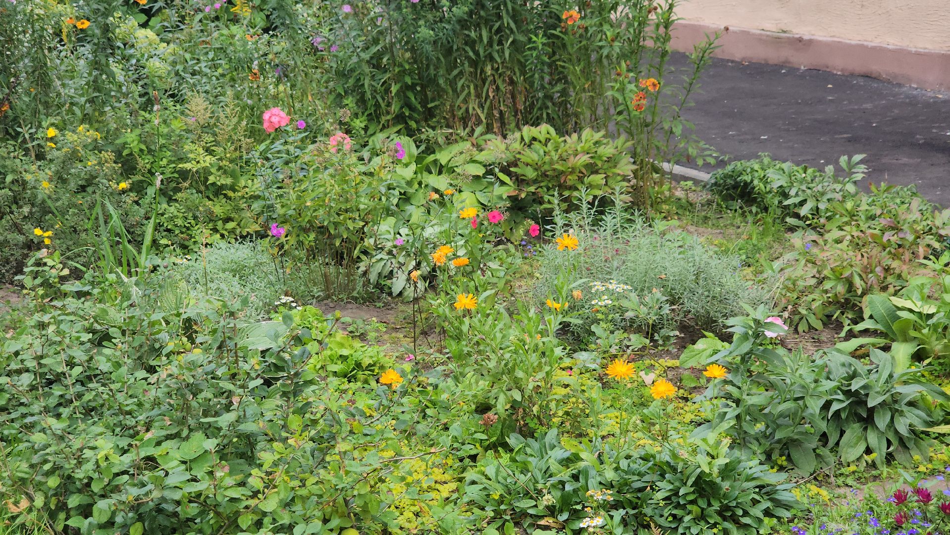 щёлково, монино, благоустройство двора,