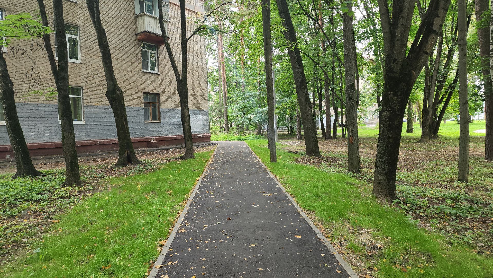 щёлково, монино, новая парковка,