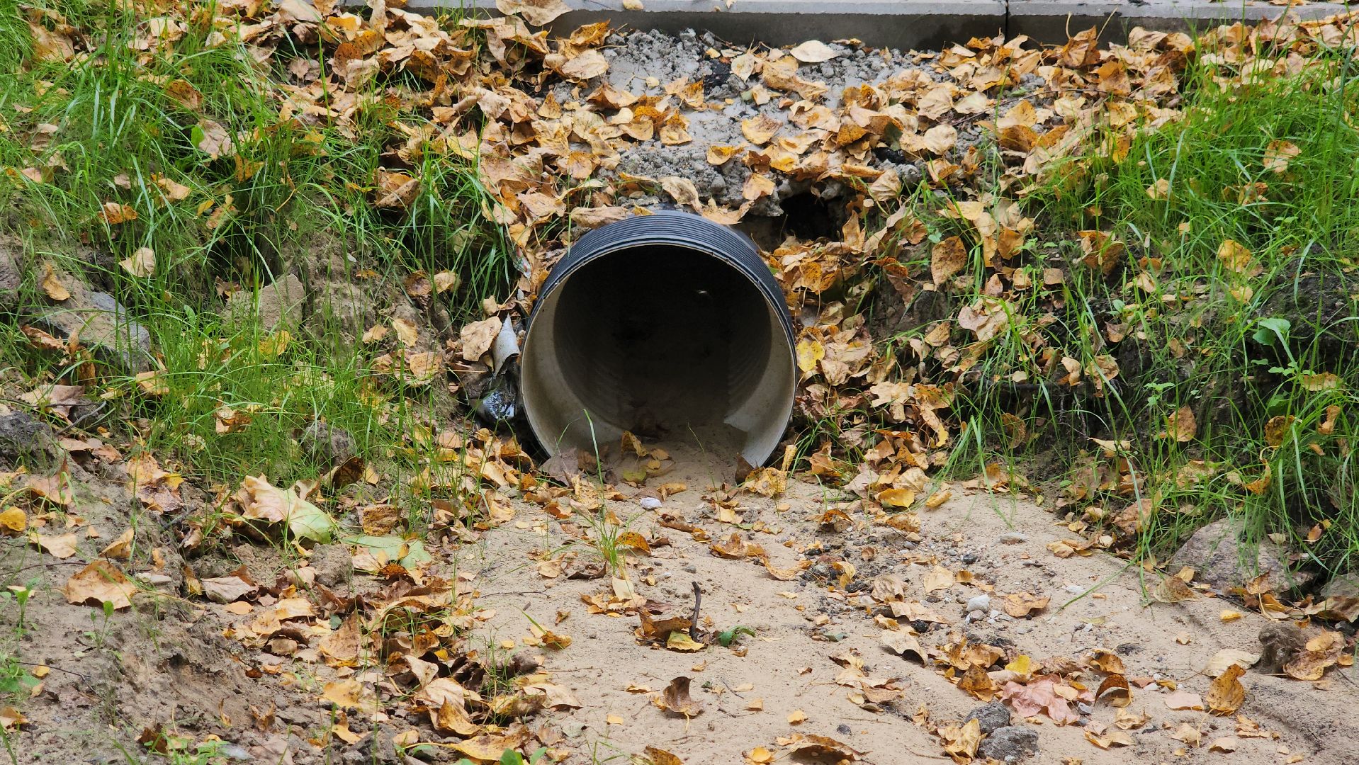 щёлково, монино, новая парковка,