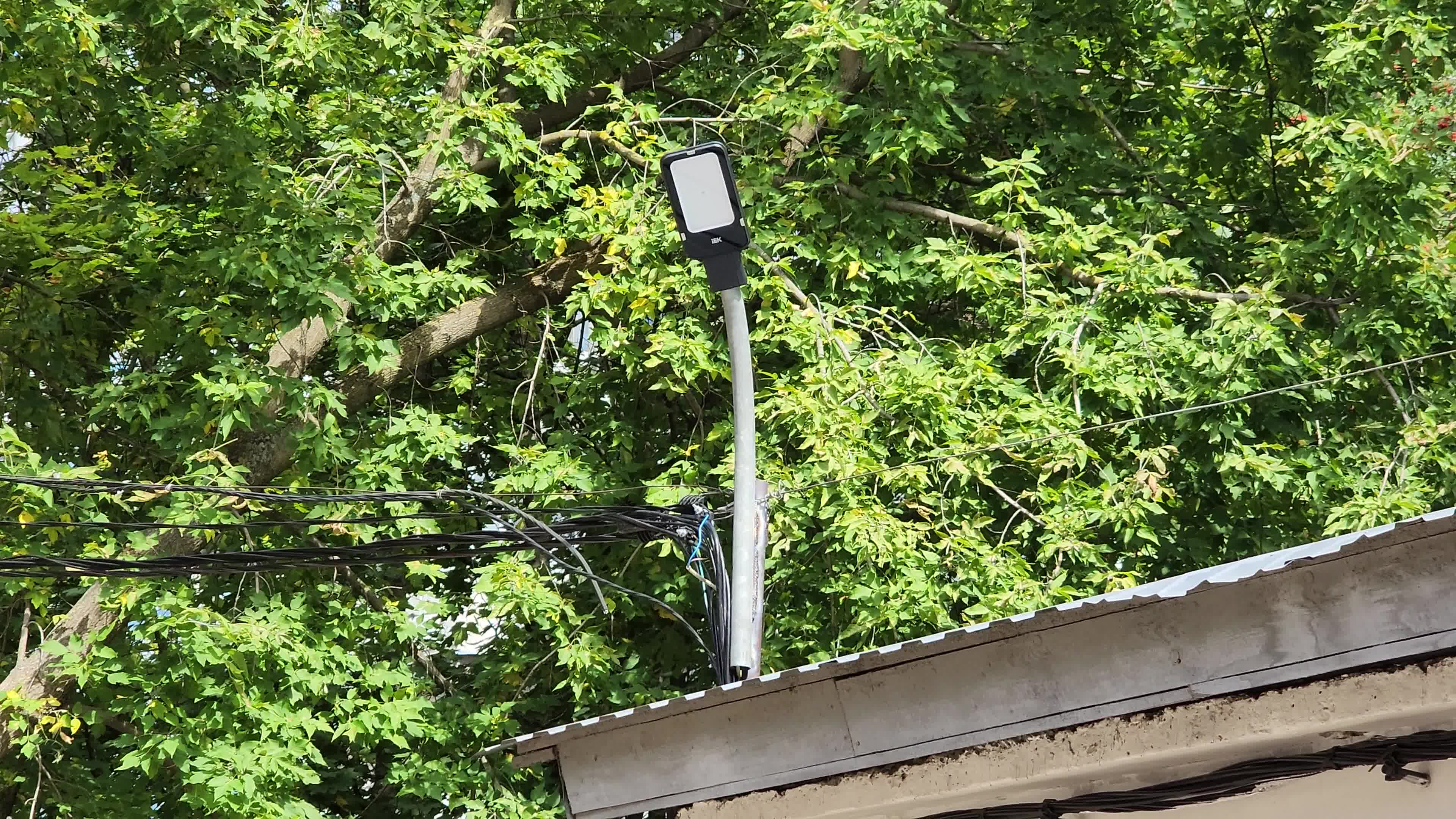 /mediabank_mount//80434/8175fb6b507e022ba9f5d26a2914ade8.jpg