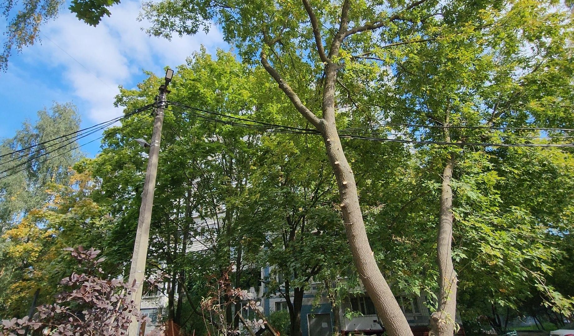 выездная, свет, освещение, парковка,