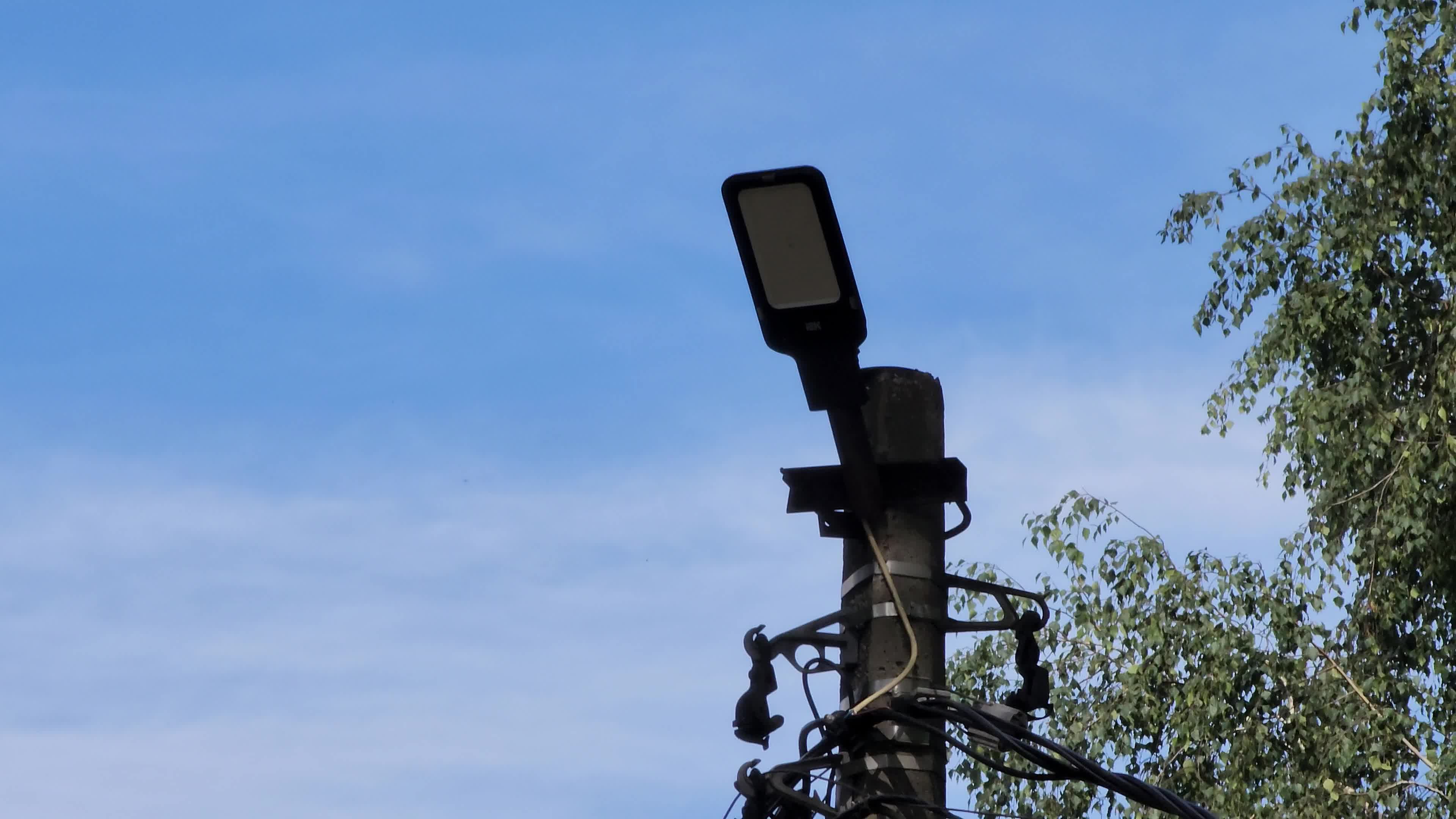 /mediabank_mount//80434/d931c7d006aa703836733530d487ff00.jpg