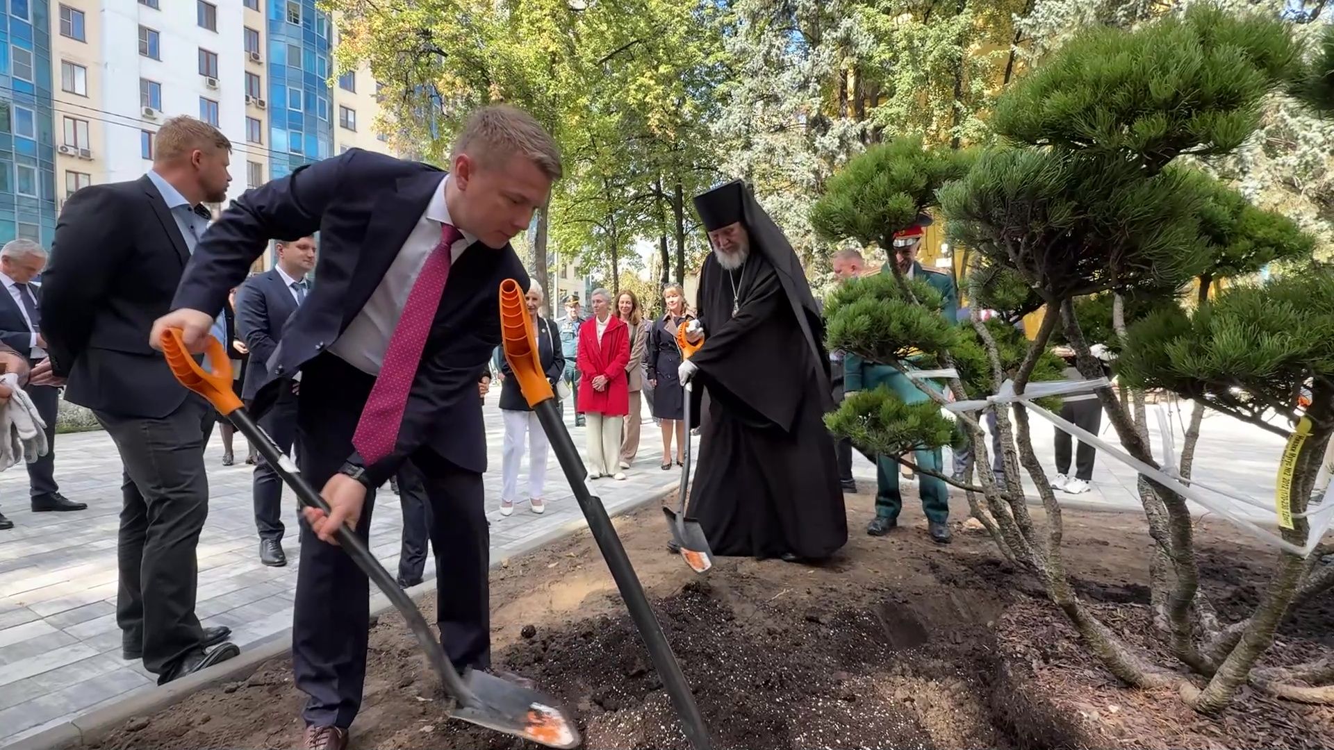 Реутов, сквер, посадка деревьев, бонсай,