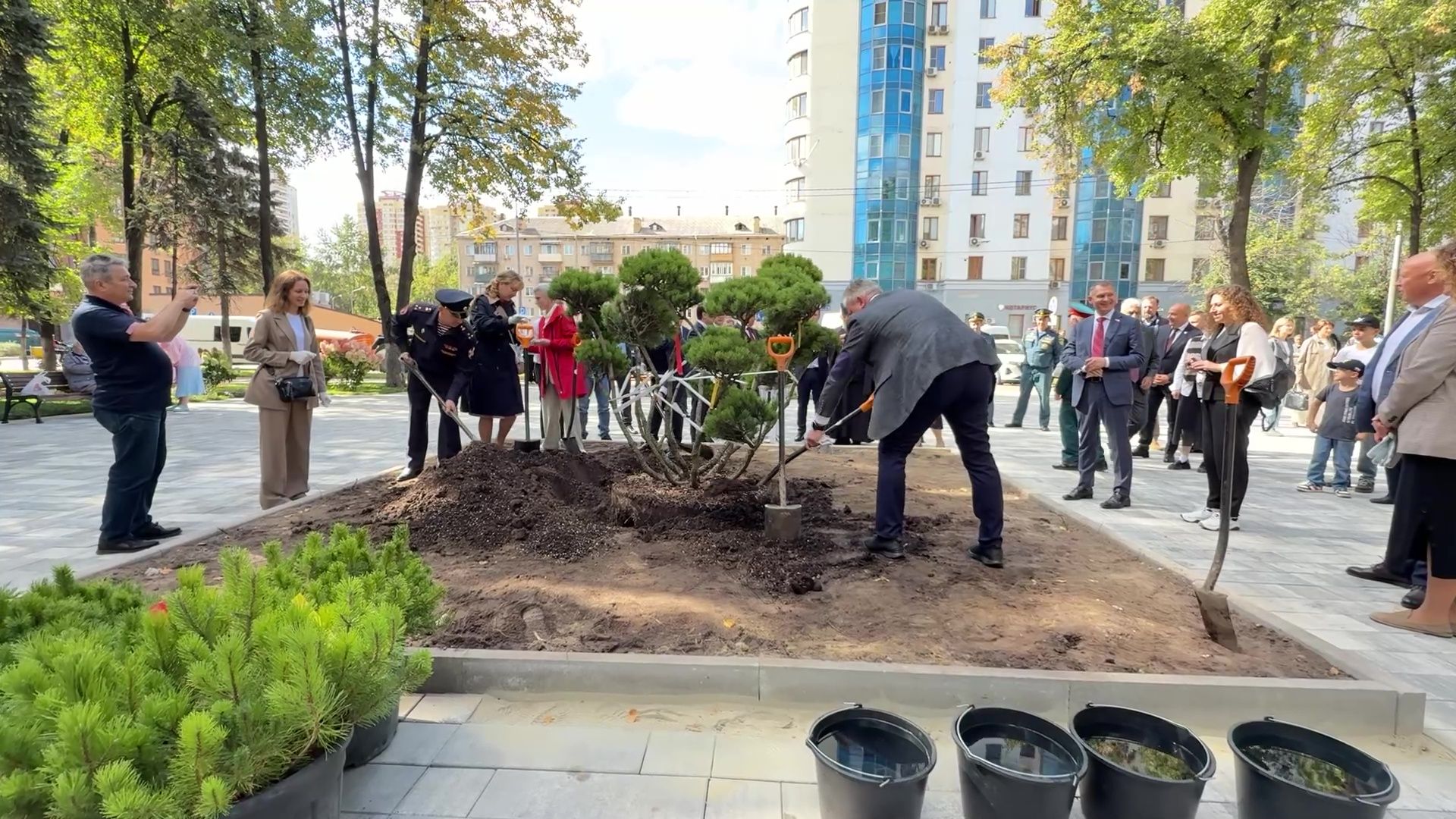 Реутов, сквер, посадка деревьев, бонсай,