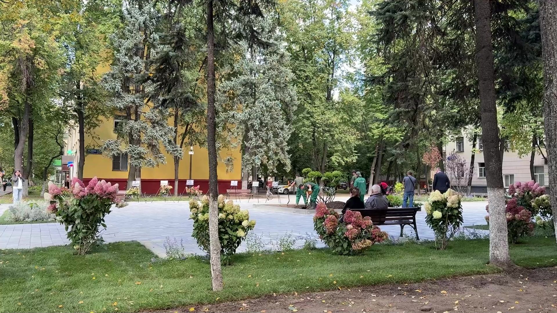 Реутов, сквер, посадка деревьев, бонсай,