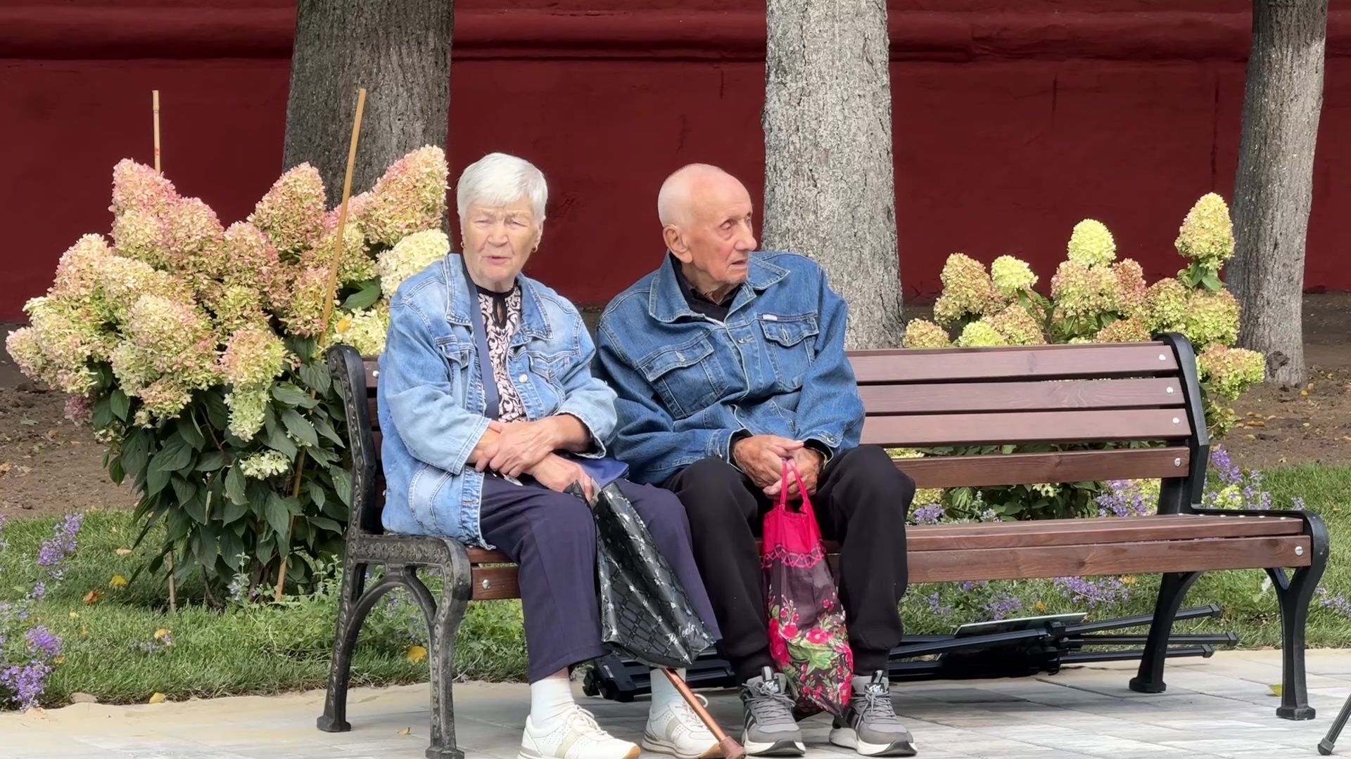 Реутов, сквер, посадка деревьев, бонсай,