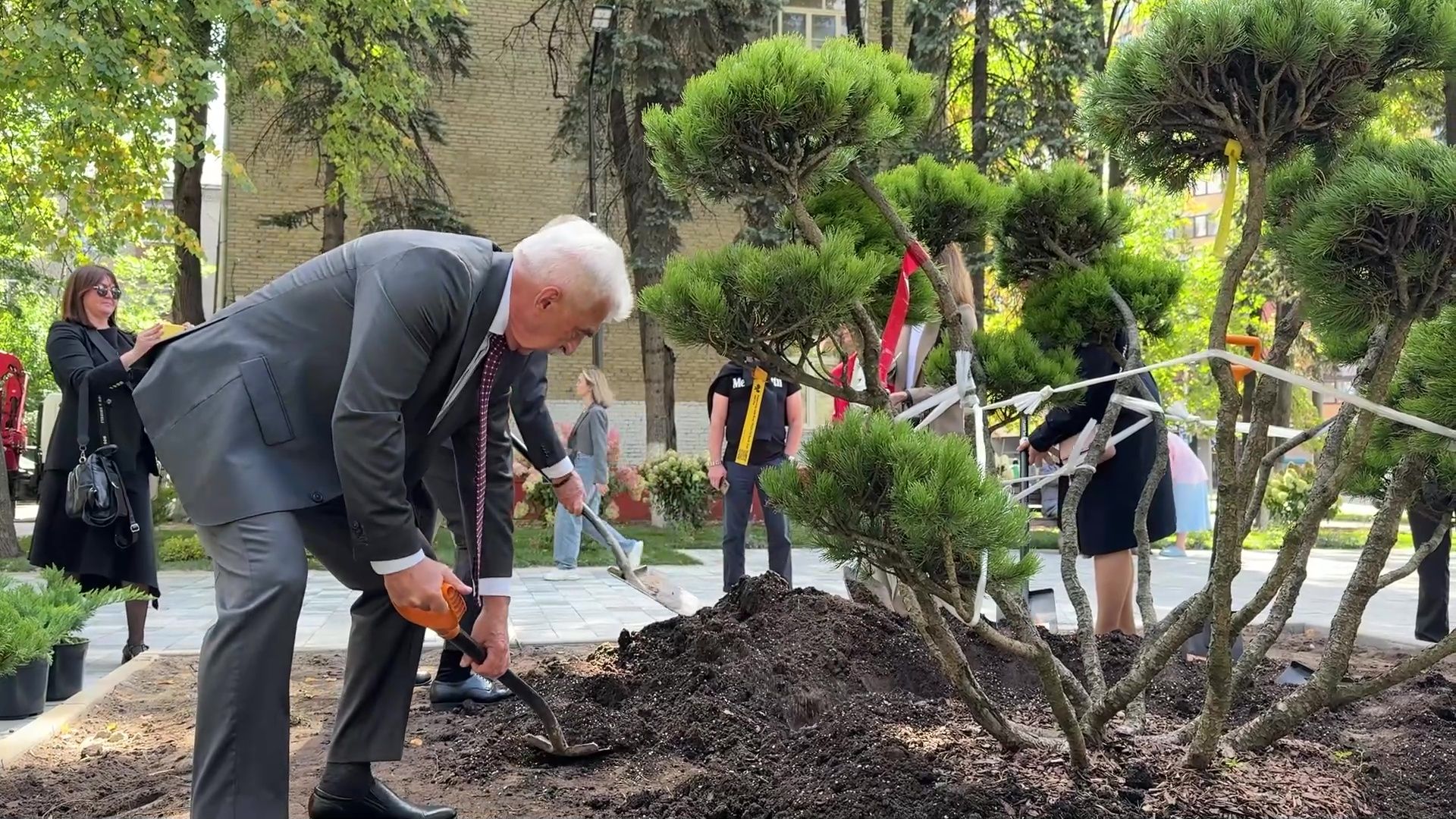 Реутов, сквер, посадка деревьев, бонсай,