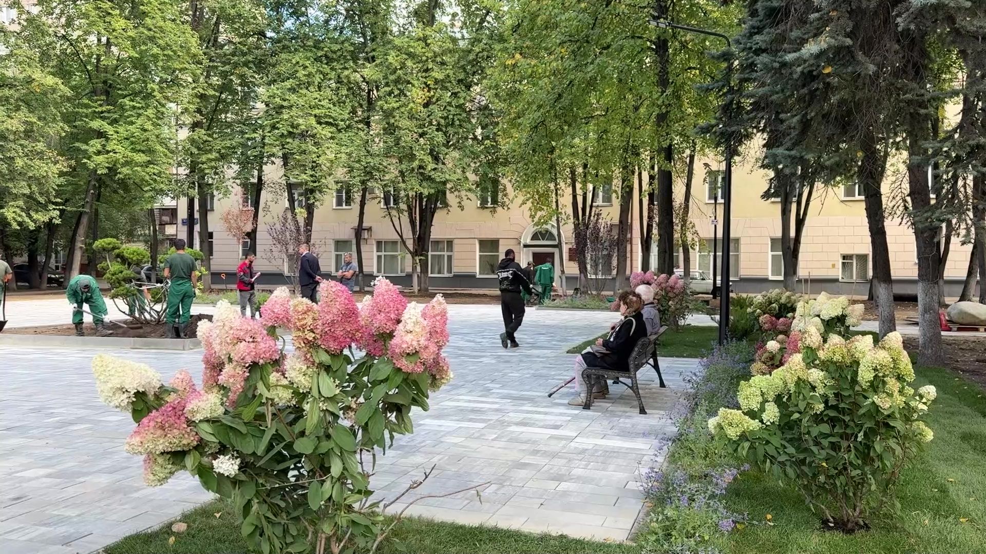 Реутов, сквер, посадка деревьев, бонсай,