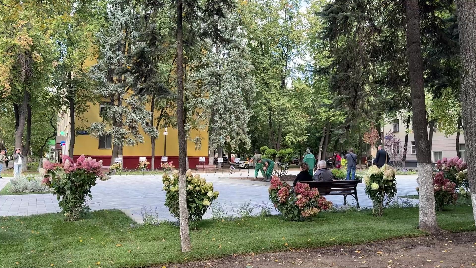 Реутов, сквер, посадка деревьев, бонсай,