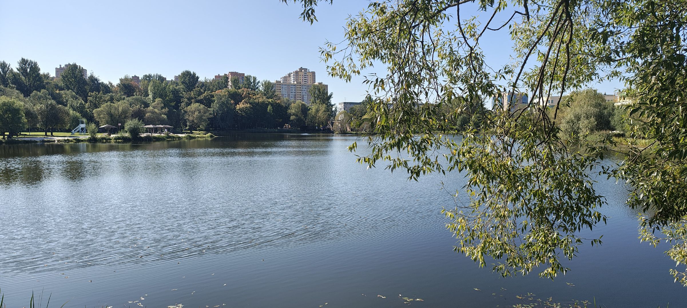 Реутов , День города, Забег , Реутов бежит ,