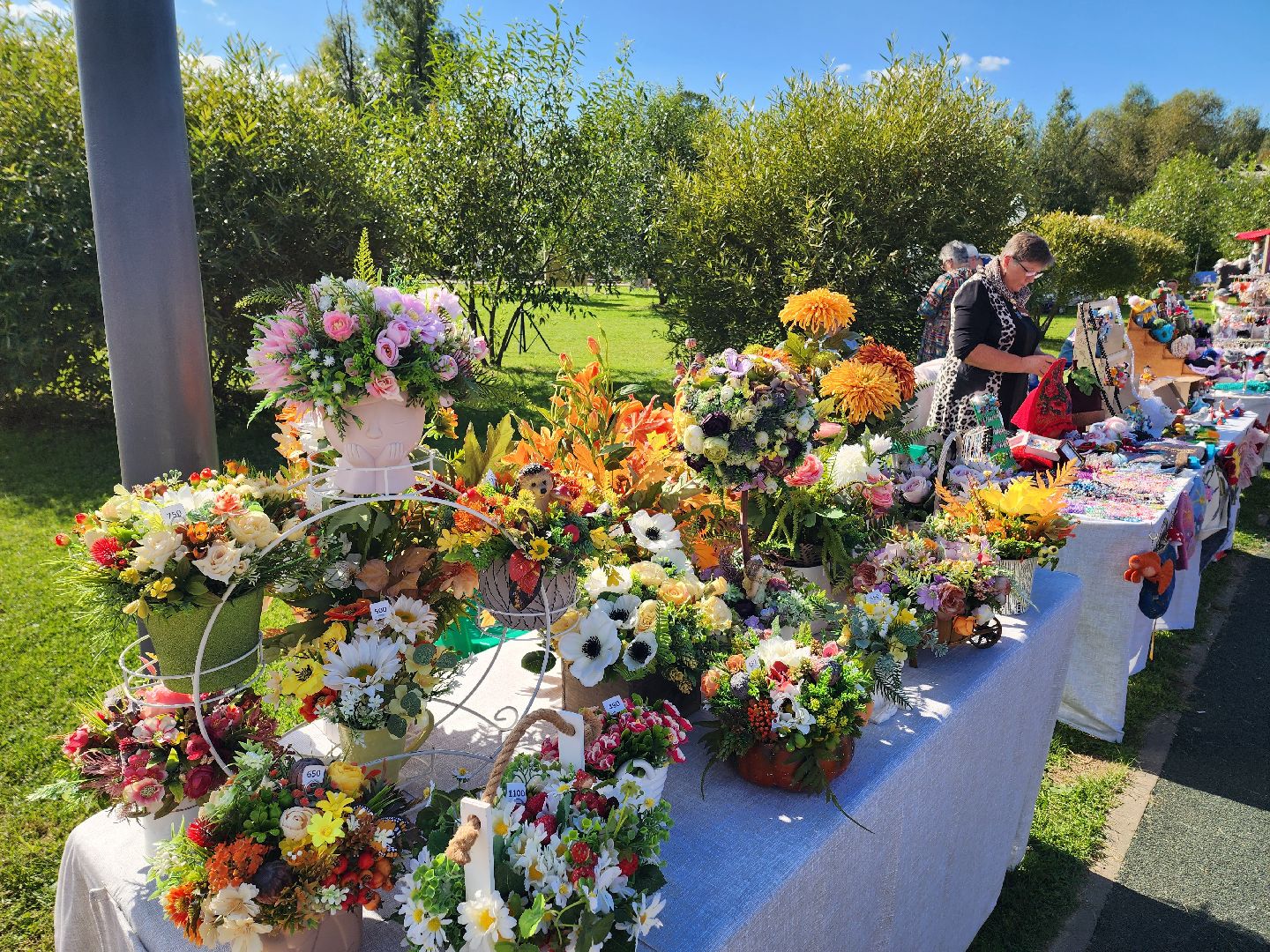 солнечногорск, праздник , жители , сенеж, город,