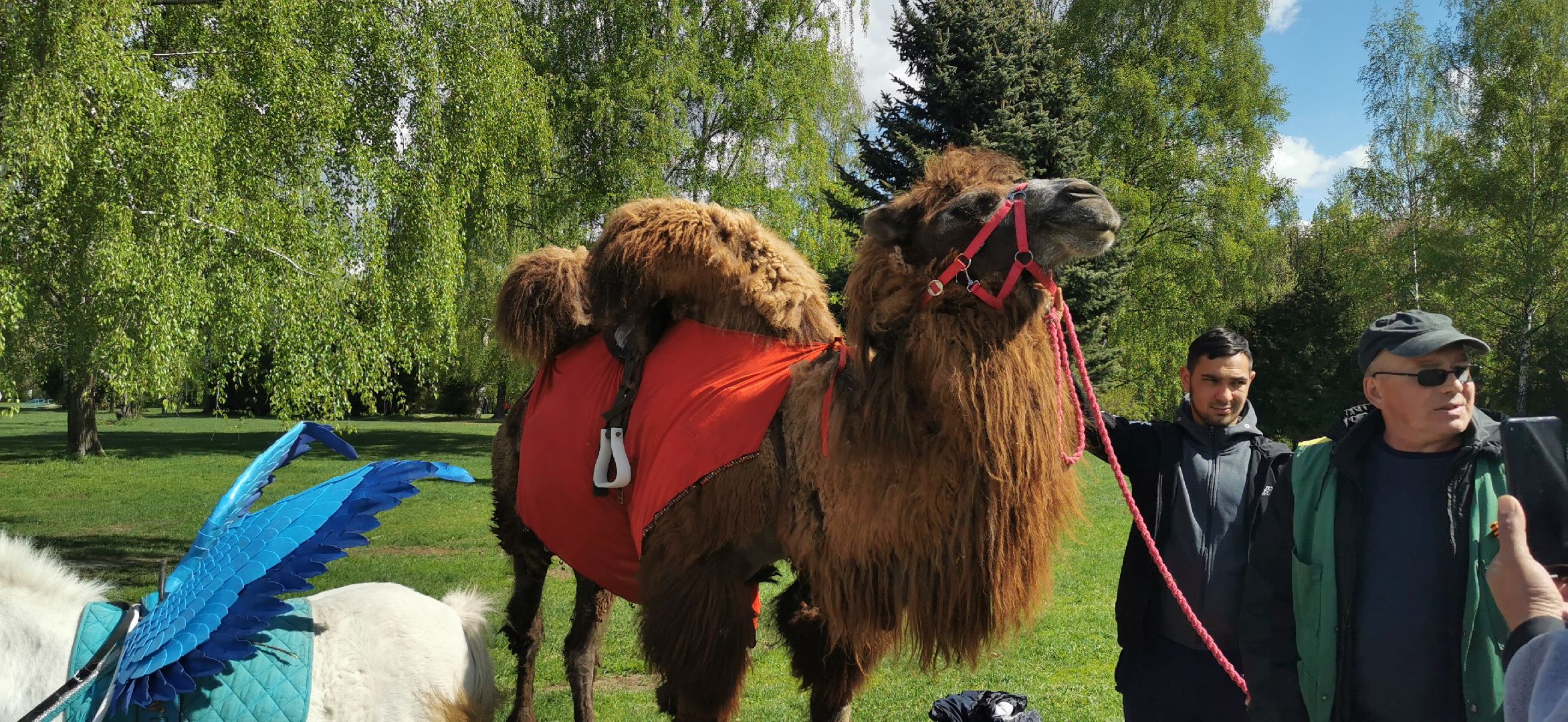 день победы,