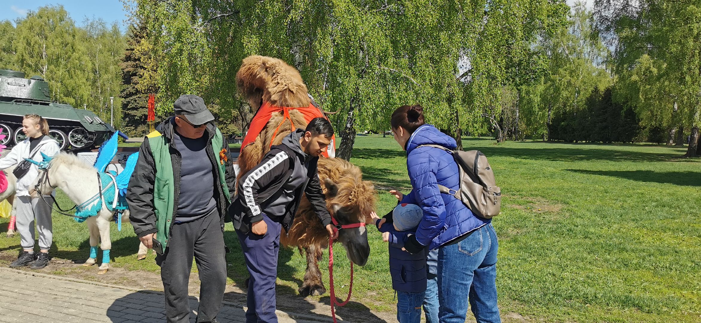 день победы,