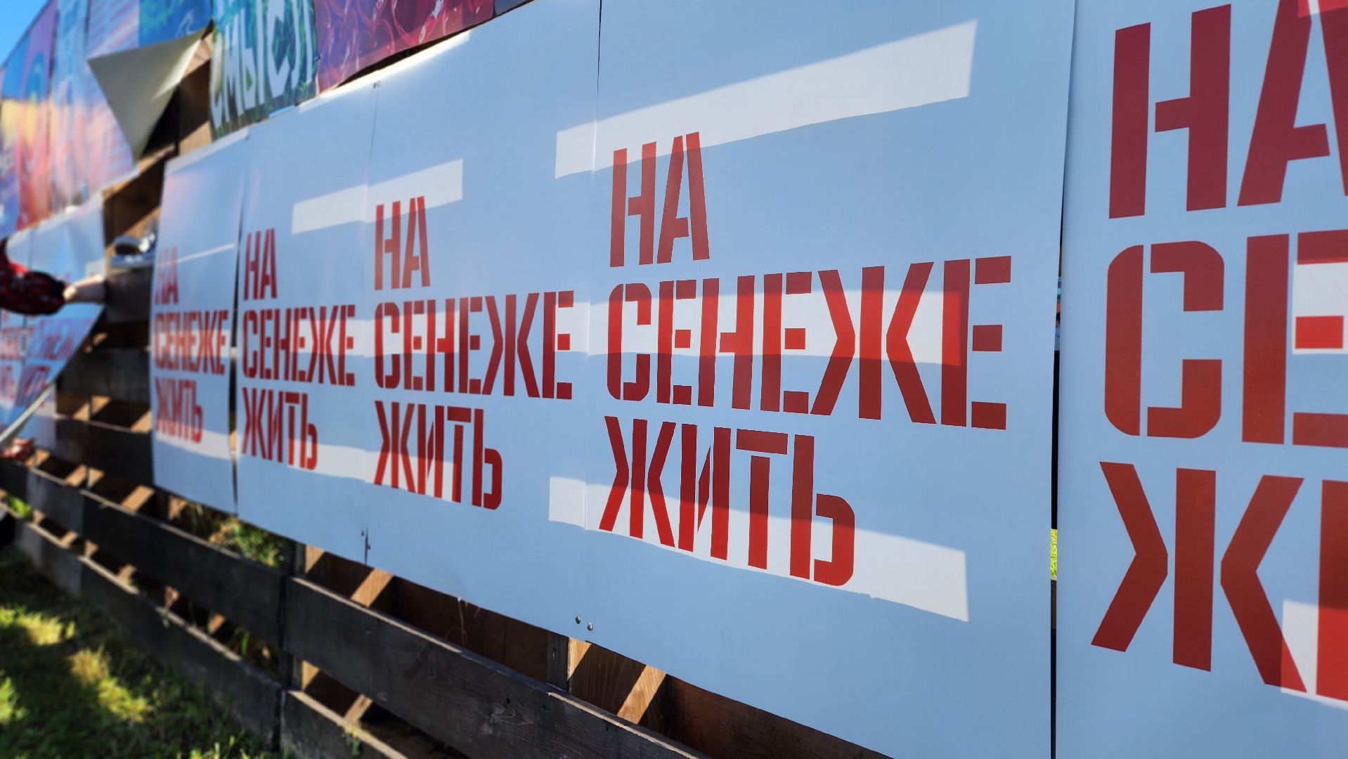 солнечногорск,молодежь, день города,