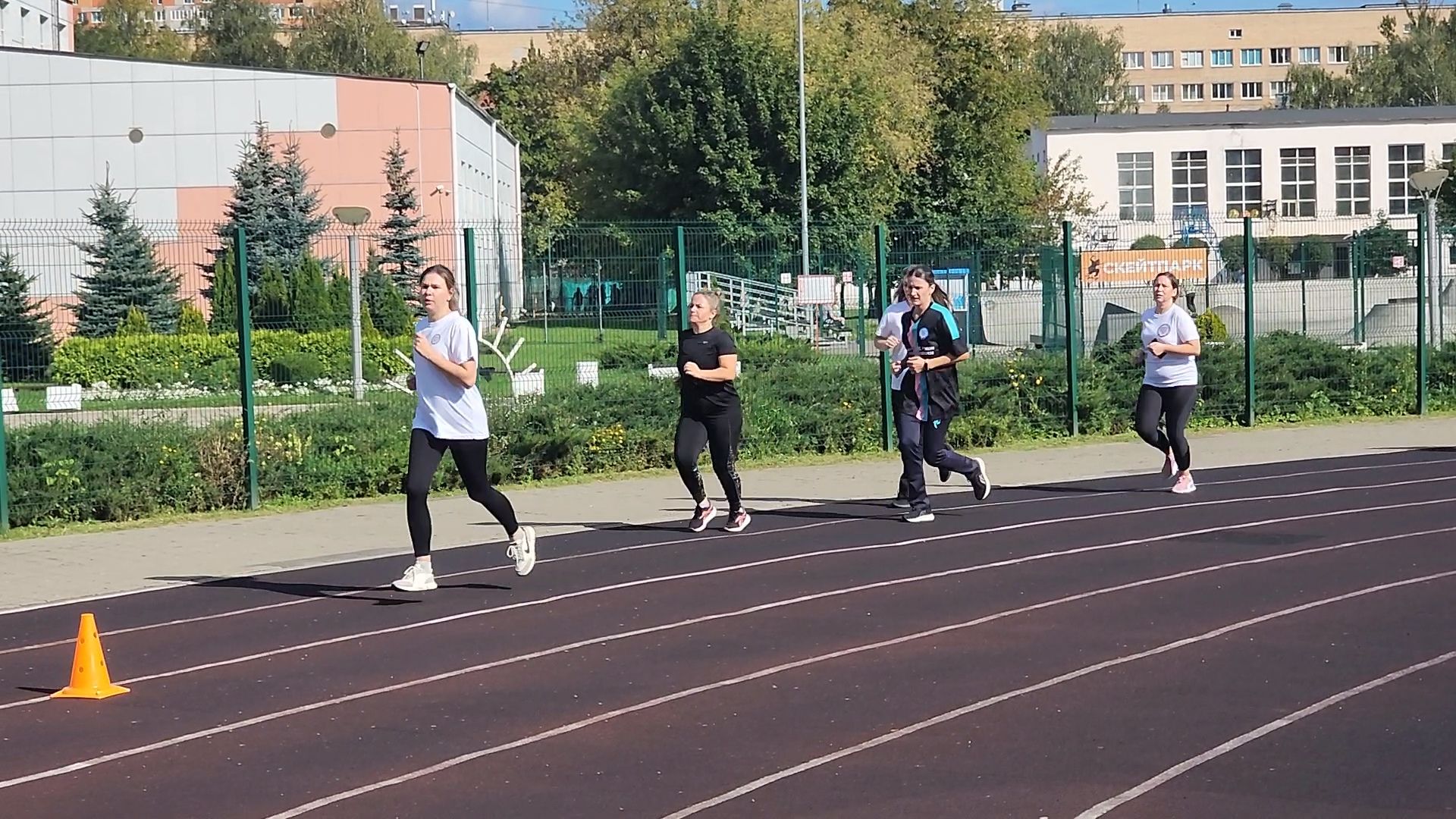королёв, стадион вымпел в королеве, налоговая служба московской области , гто, спорт в королеве,