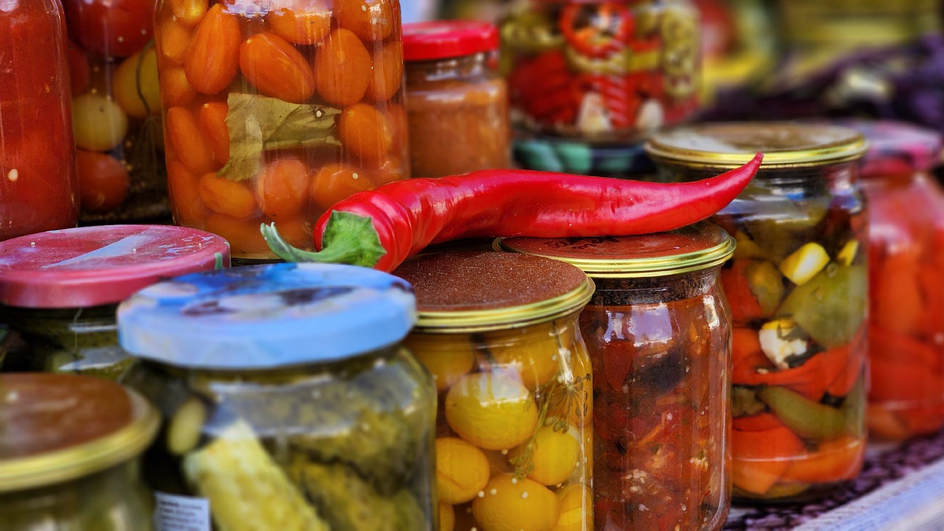 Руза, пчеловодство, Фестиваль осень в Рузе, фабричный квартал,