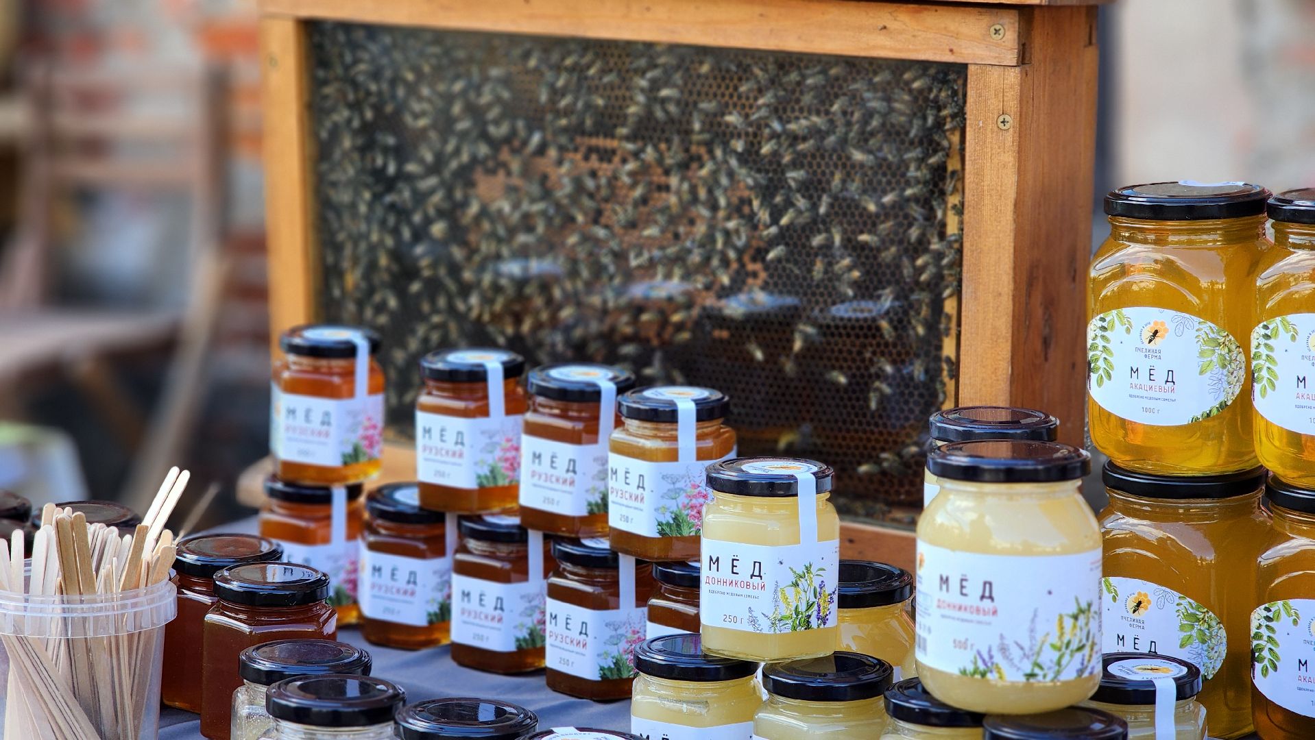 Руза, пчеловодство, Фестиваль осень в Рузе, фабричный квартал,