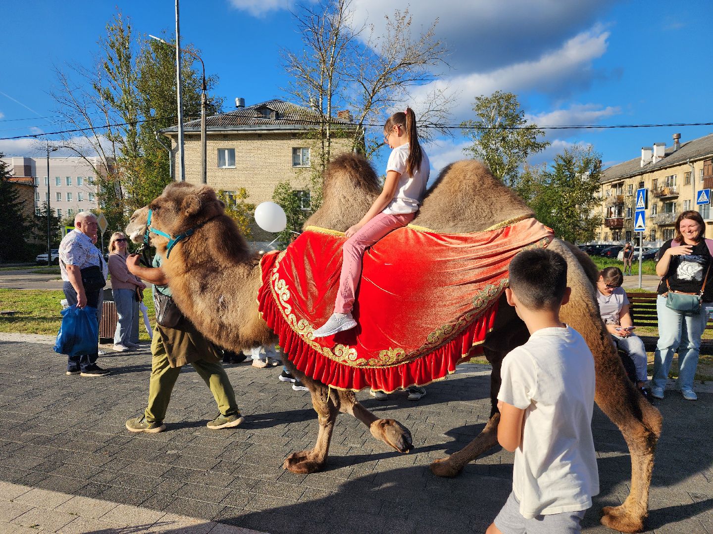фрязино, день города, художники,
