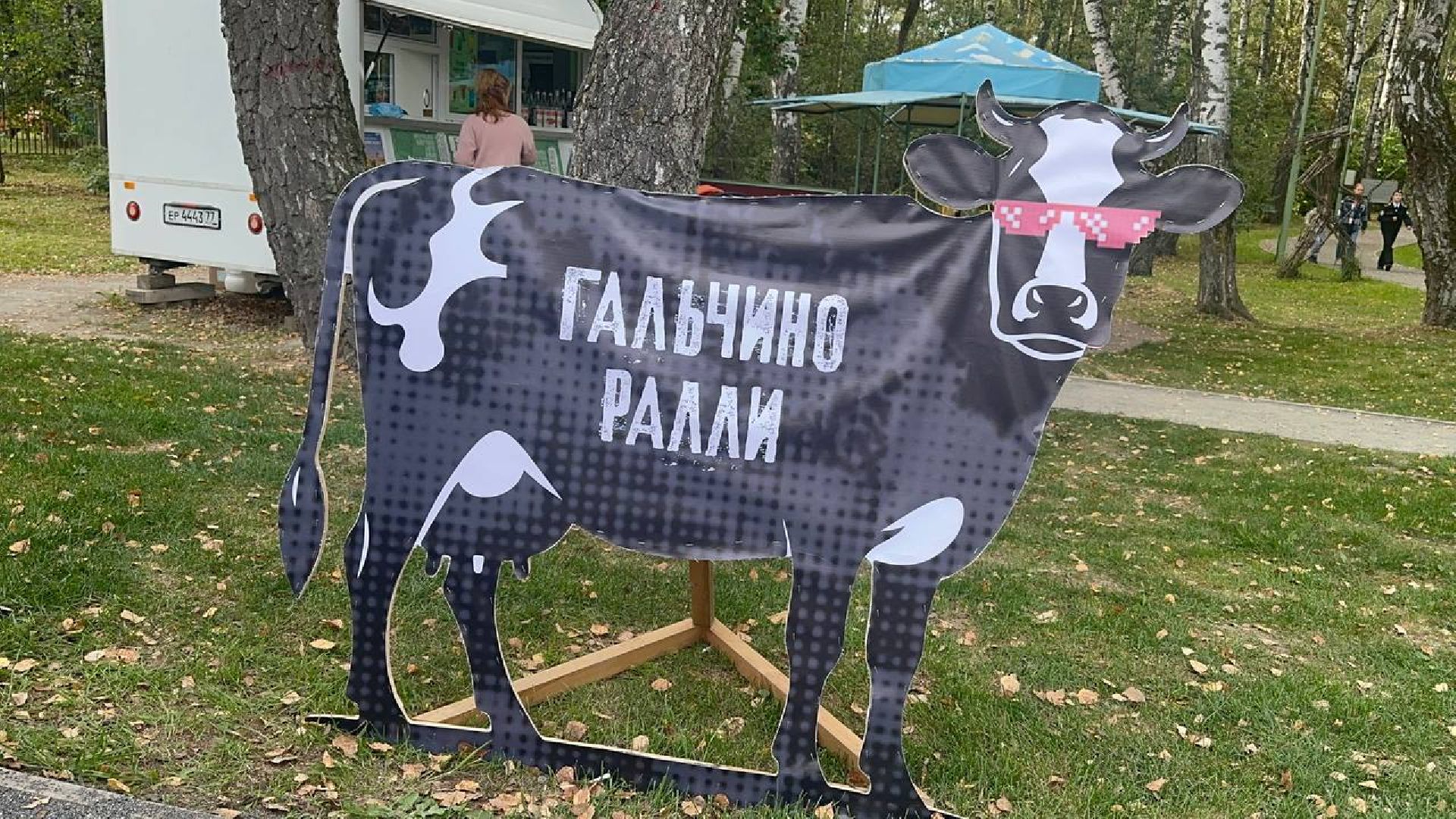 ралли, домодедово, парки,