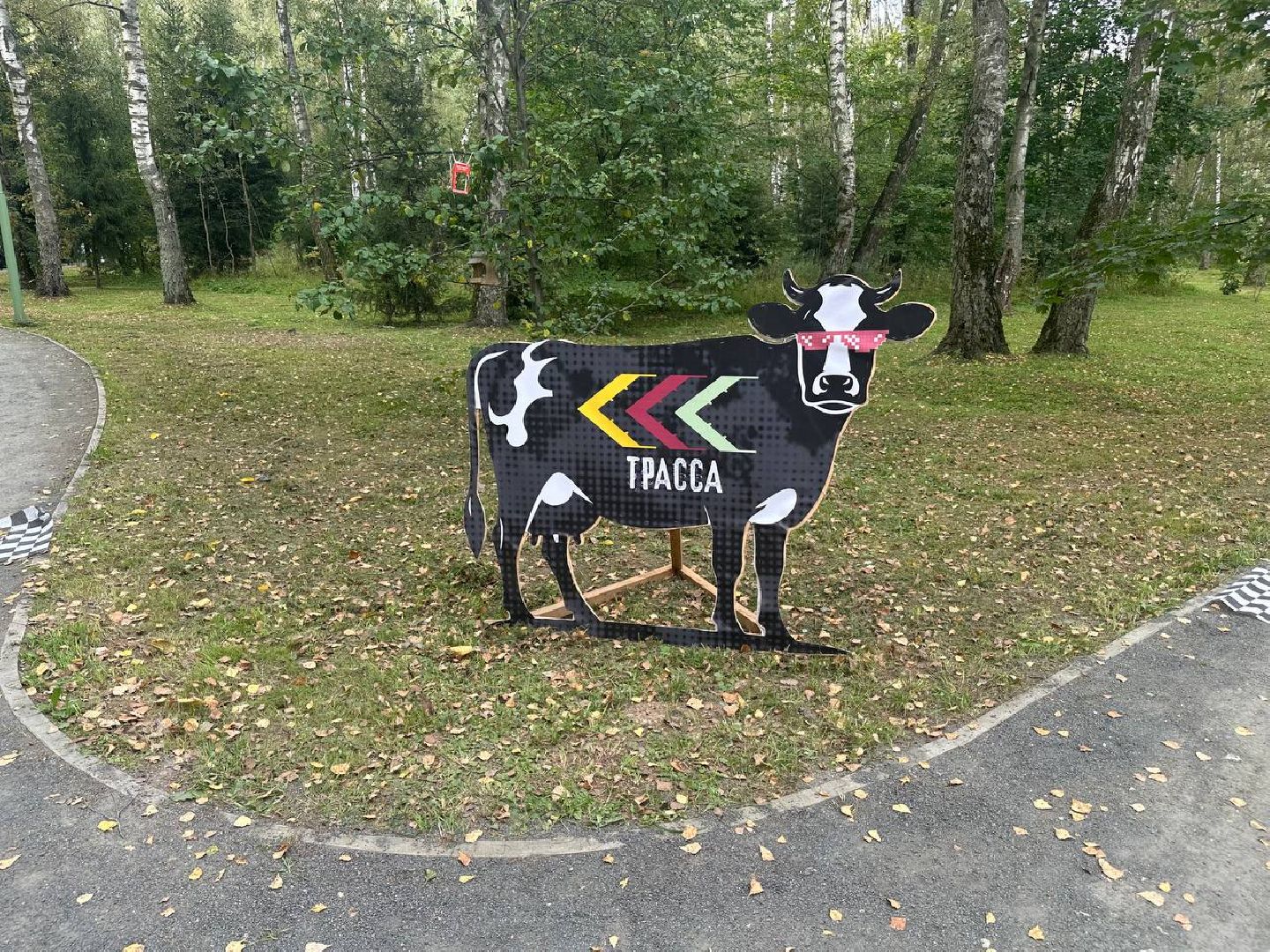 ралли, домодедово, парки,