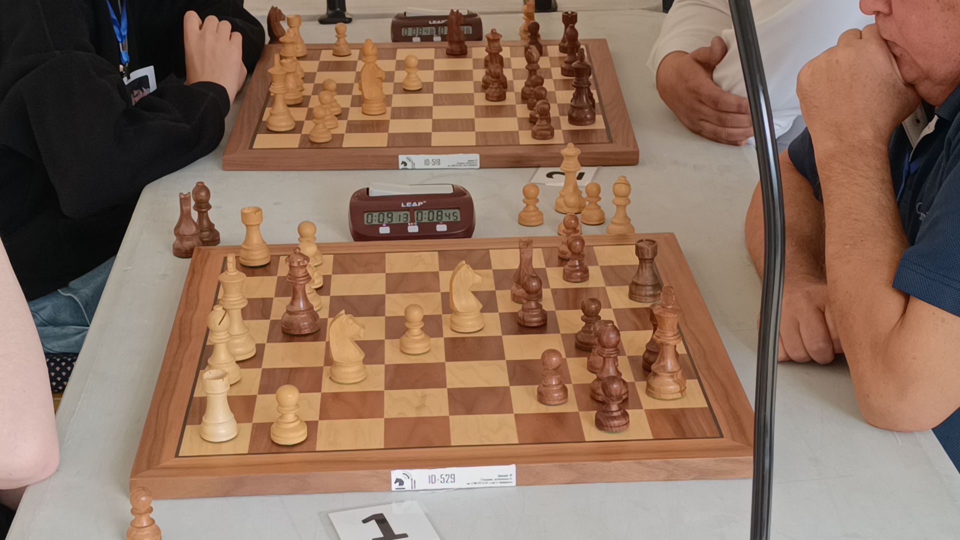 шахматы, лобня, парк, сергей карякин,