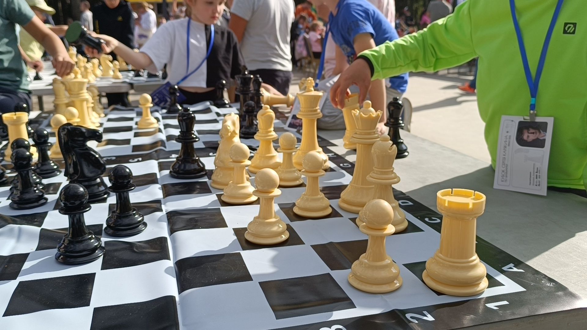 шахматы, сергей карякин, лобня,