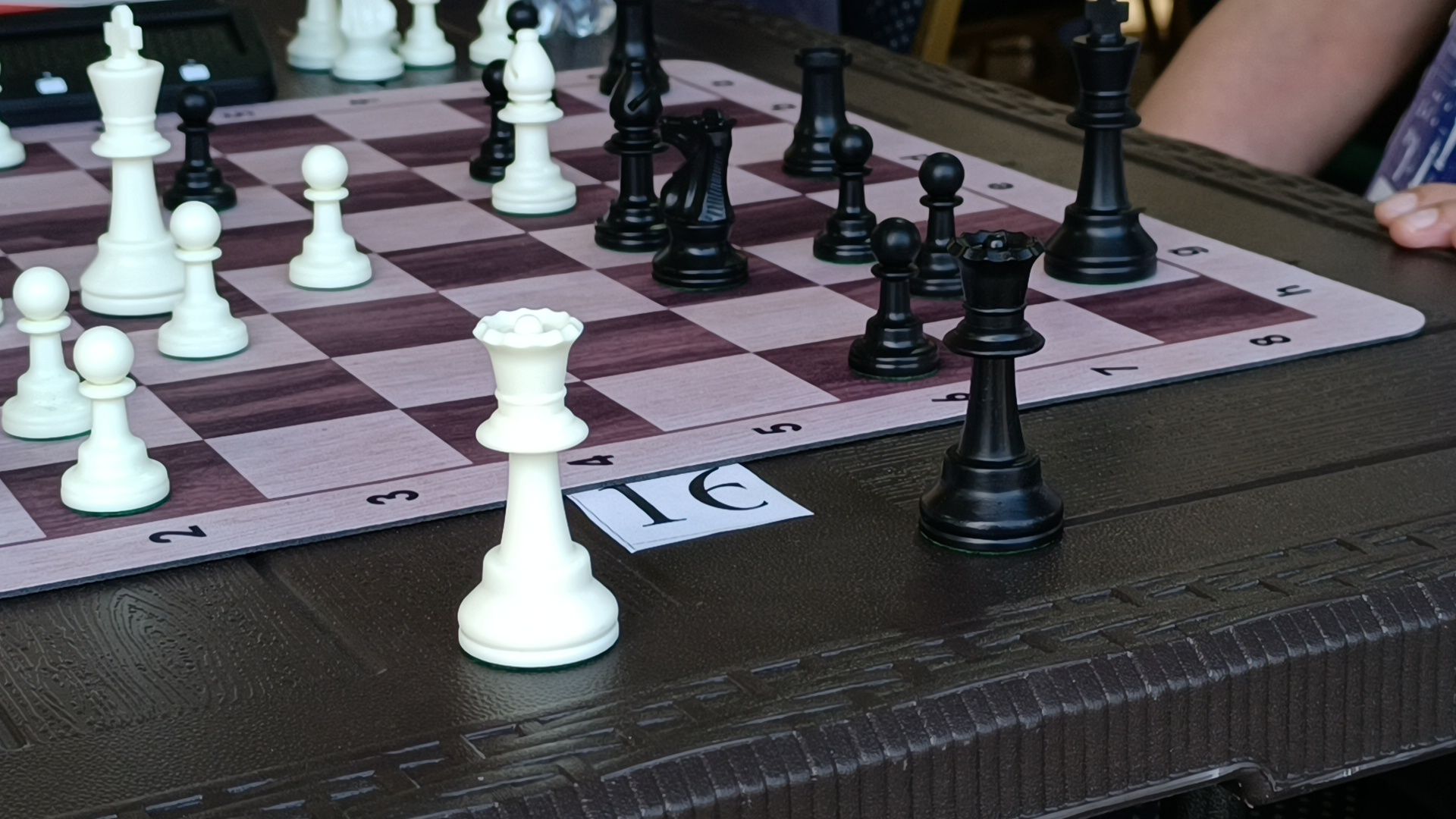 шахматы, сергей карякин, лобня,