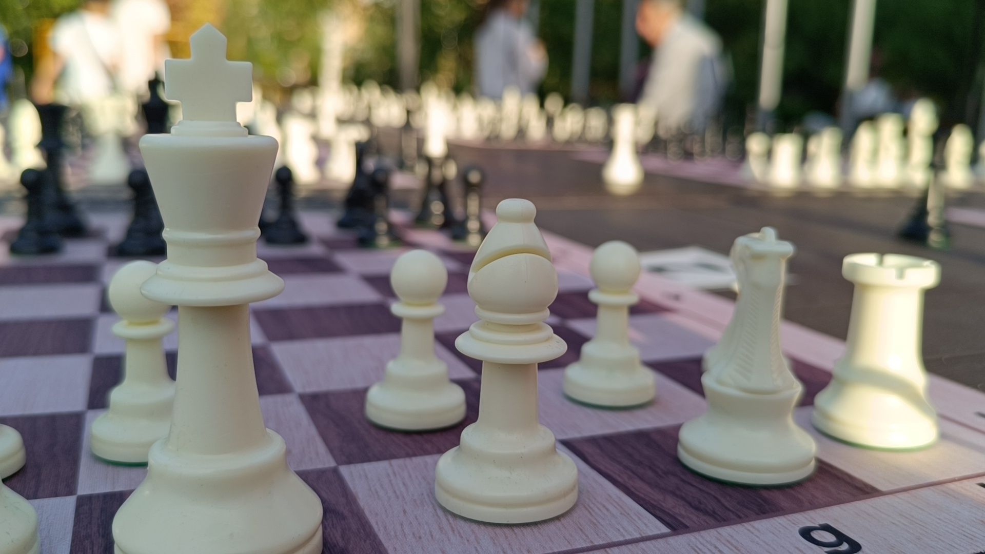 шахматы, лобня, парк, сергей карякин,