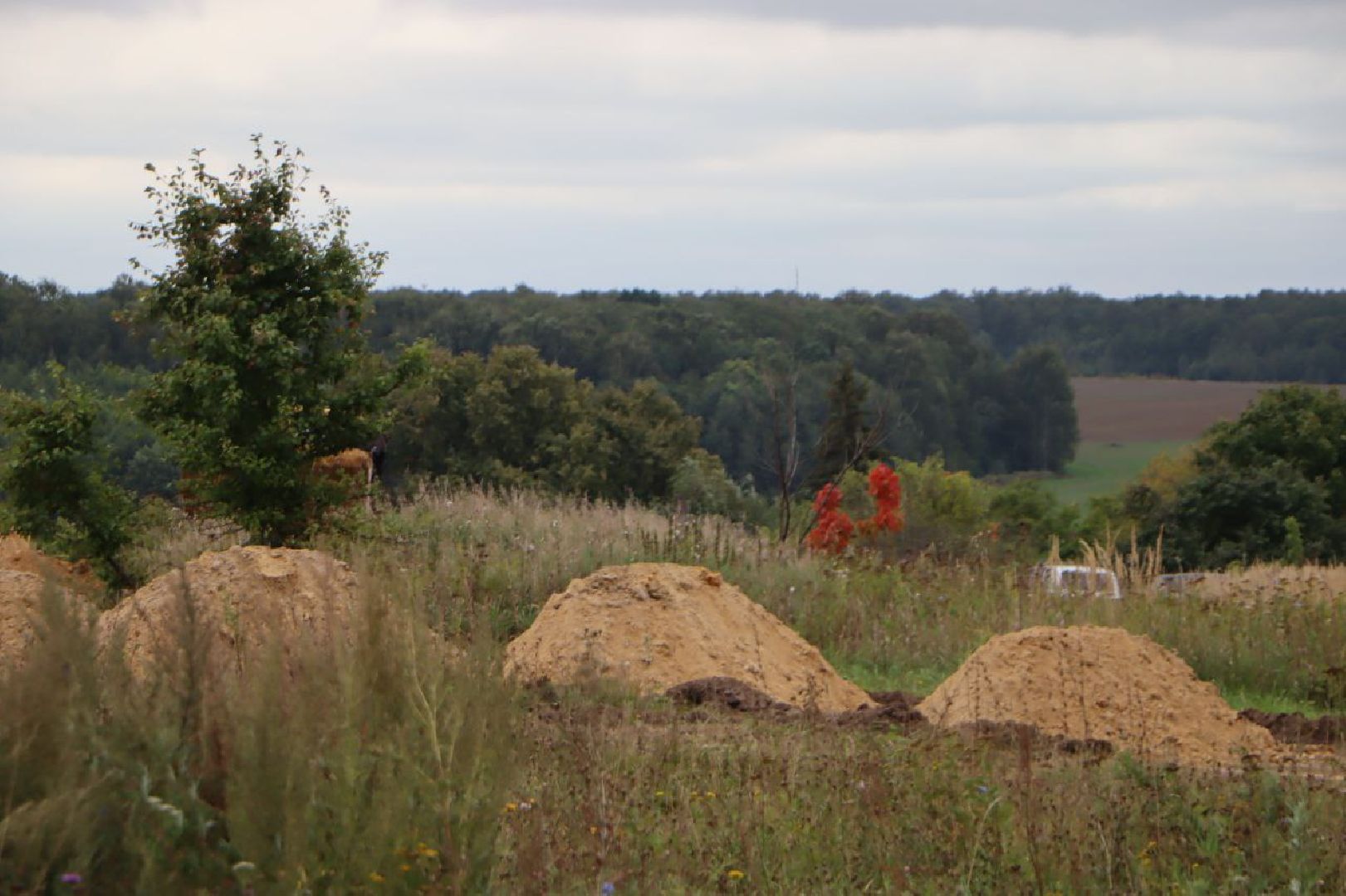 Зарайск, Дороги, Дорога в Жилконцах,