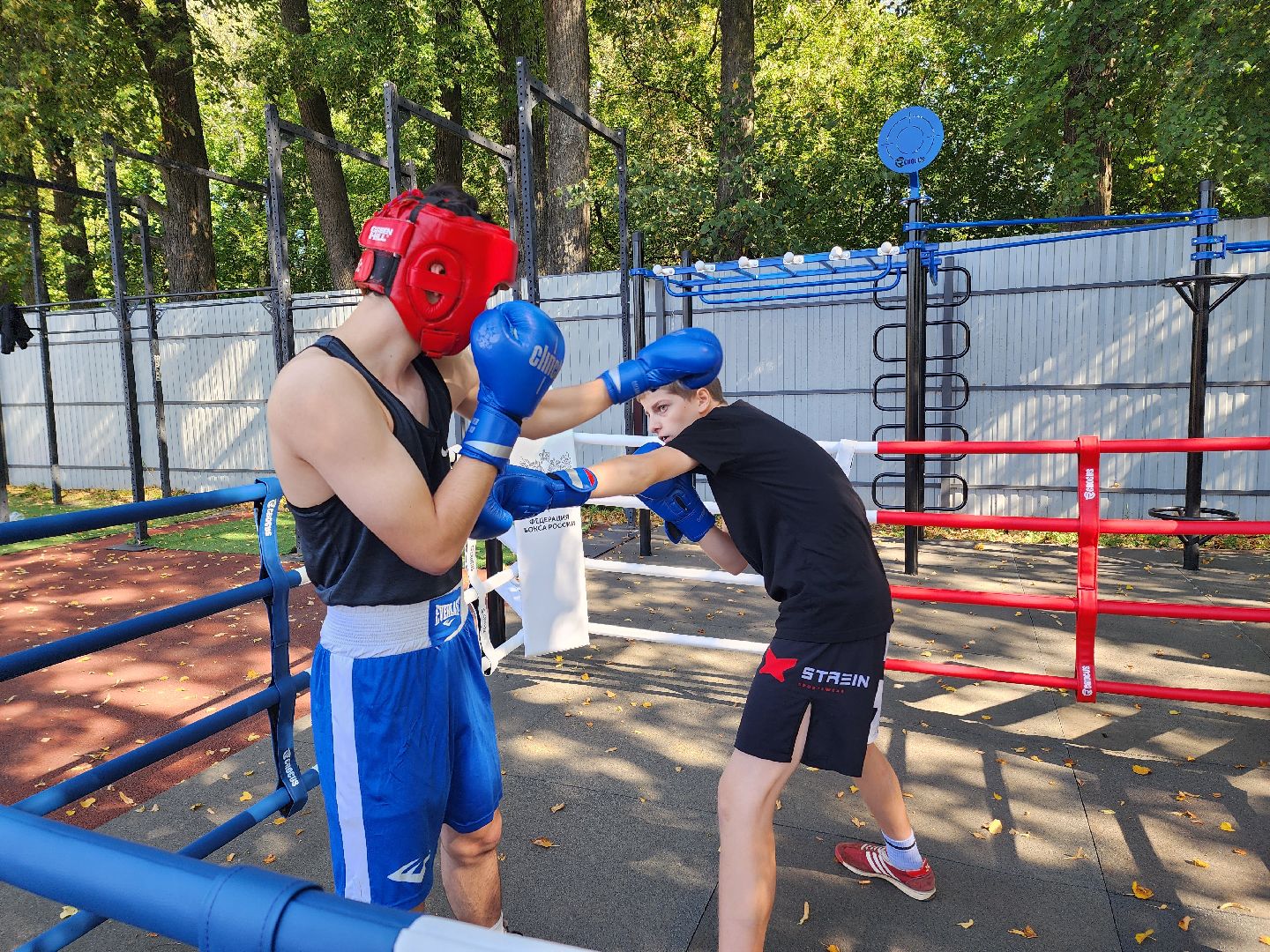 солнечногорск, спорт , бокс, молодежь ,