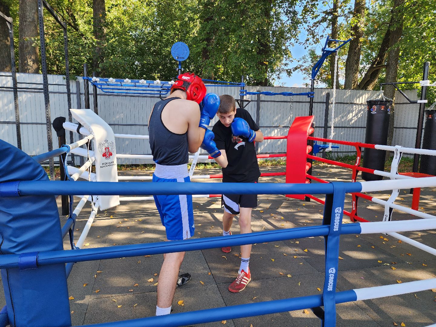 солнечногорск, спорт , бокс, молодежь ,