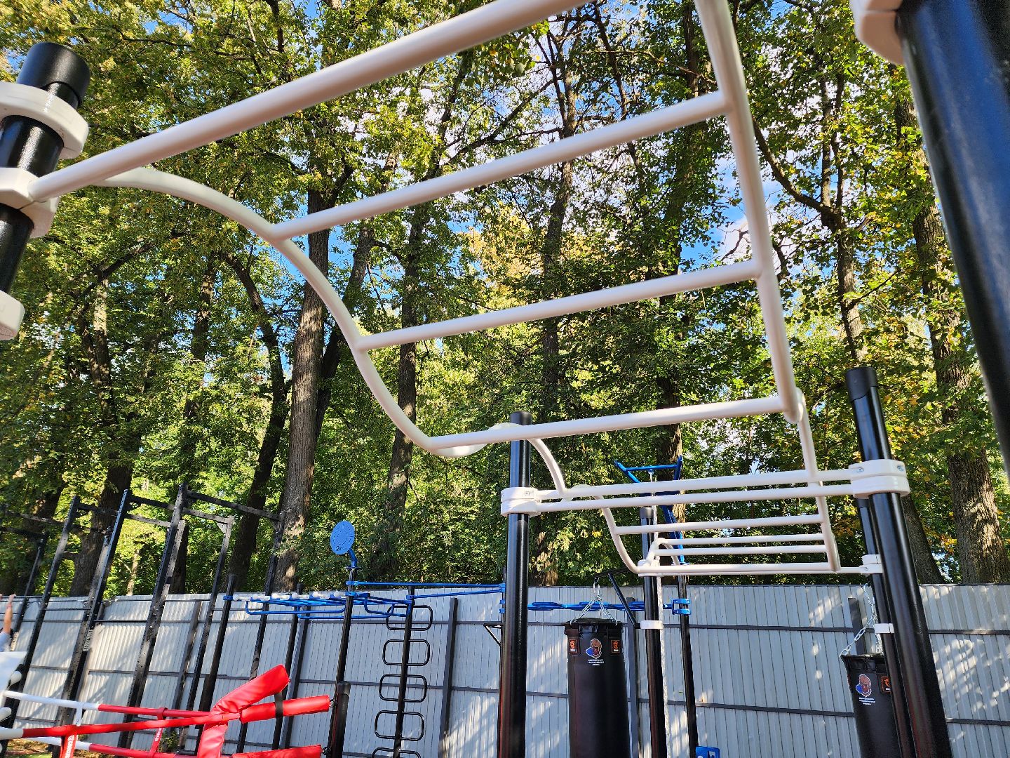 солнечногорск, спорт , бокс, молодежь ,