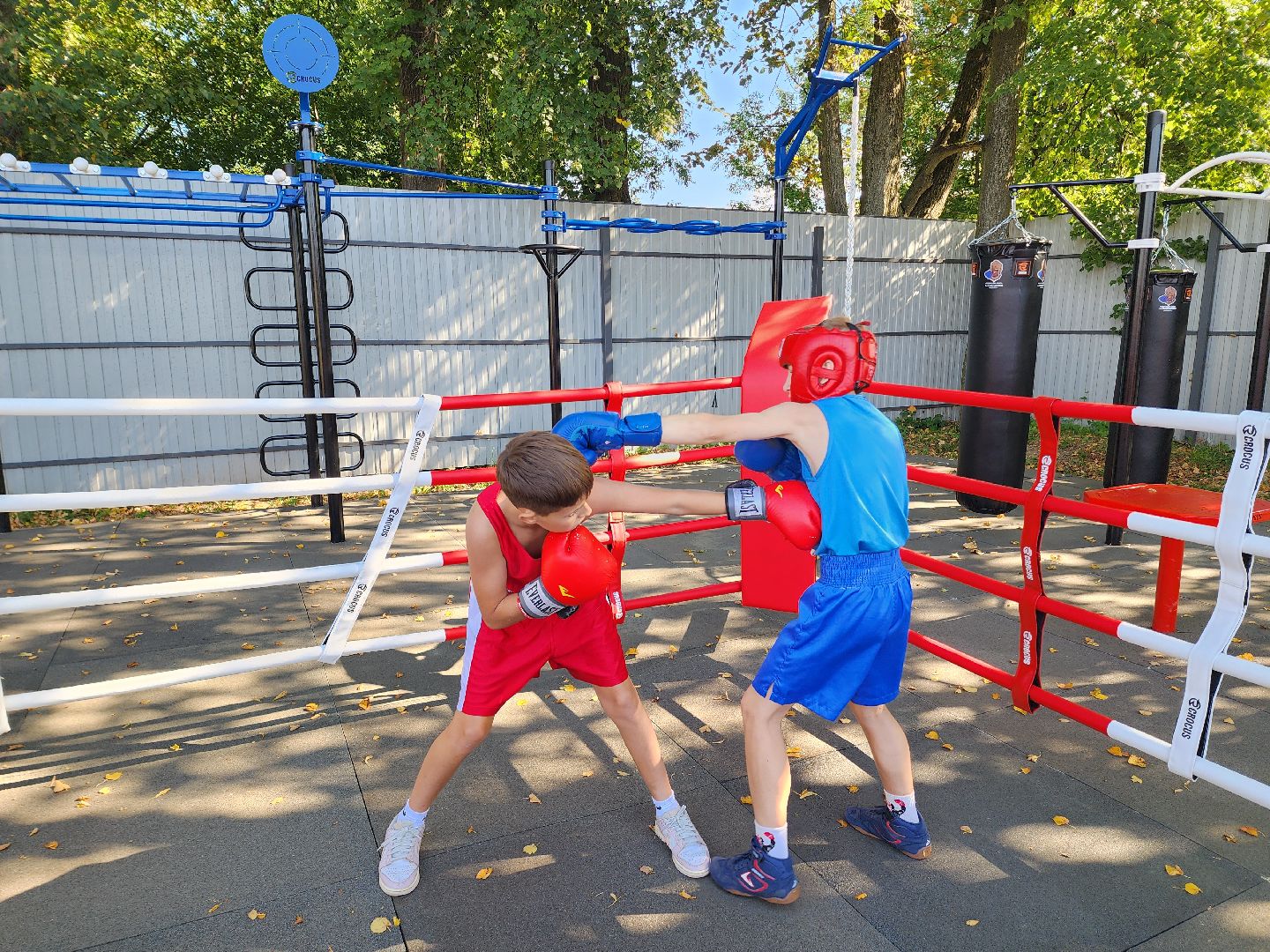 солнечногорск, спорт , бокс, молодежь ,