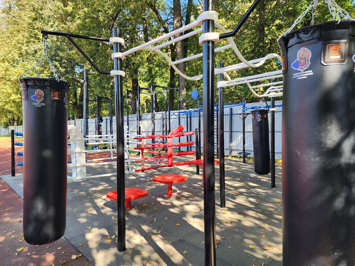 солнечногорск, спорт , бокс, молодежь ,