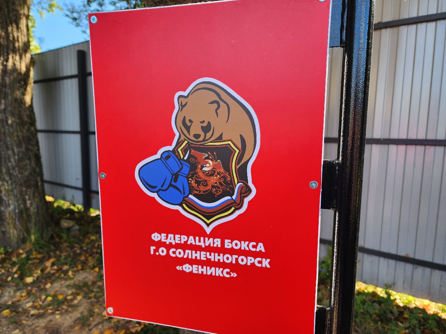 солнечногорск, спорт , бокс, молодежь ,