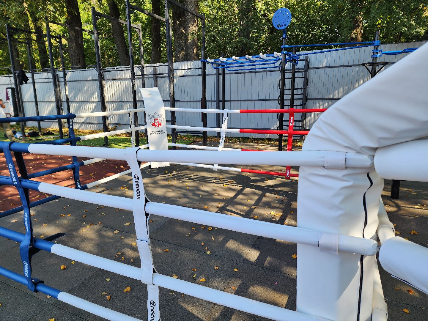 солнечногорск, спорт , бокс, молодежь ,