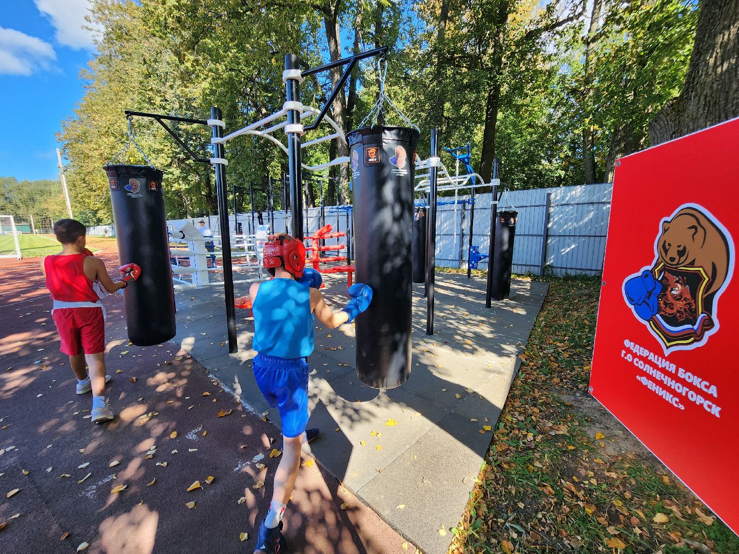 солнечногорск, спорт , бокс, молодежь ,