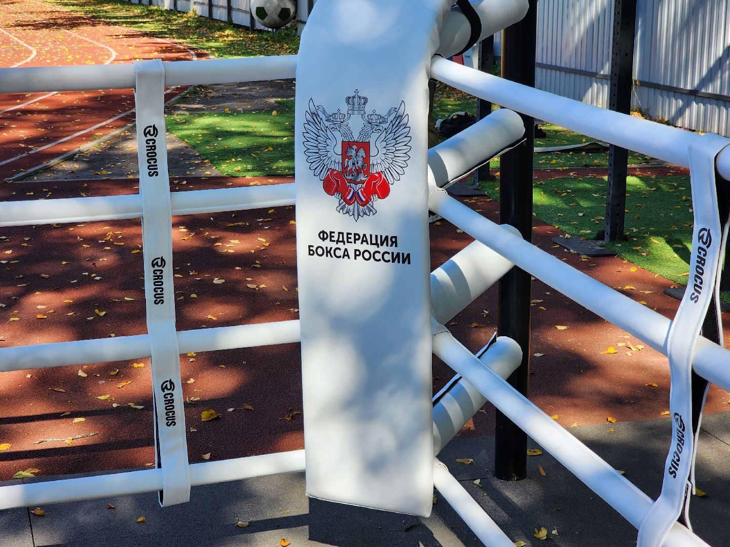 солнечногорск, спорт , бокс, молодежь ,