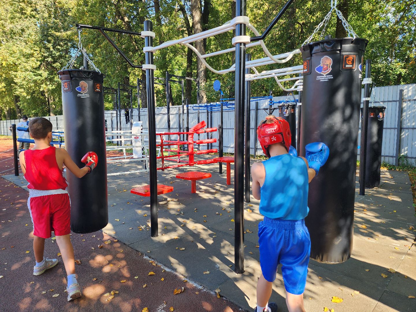 солнечногорск, спорт , бокс, молодежь ,