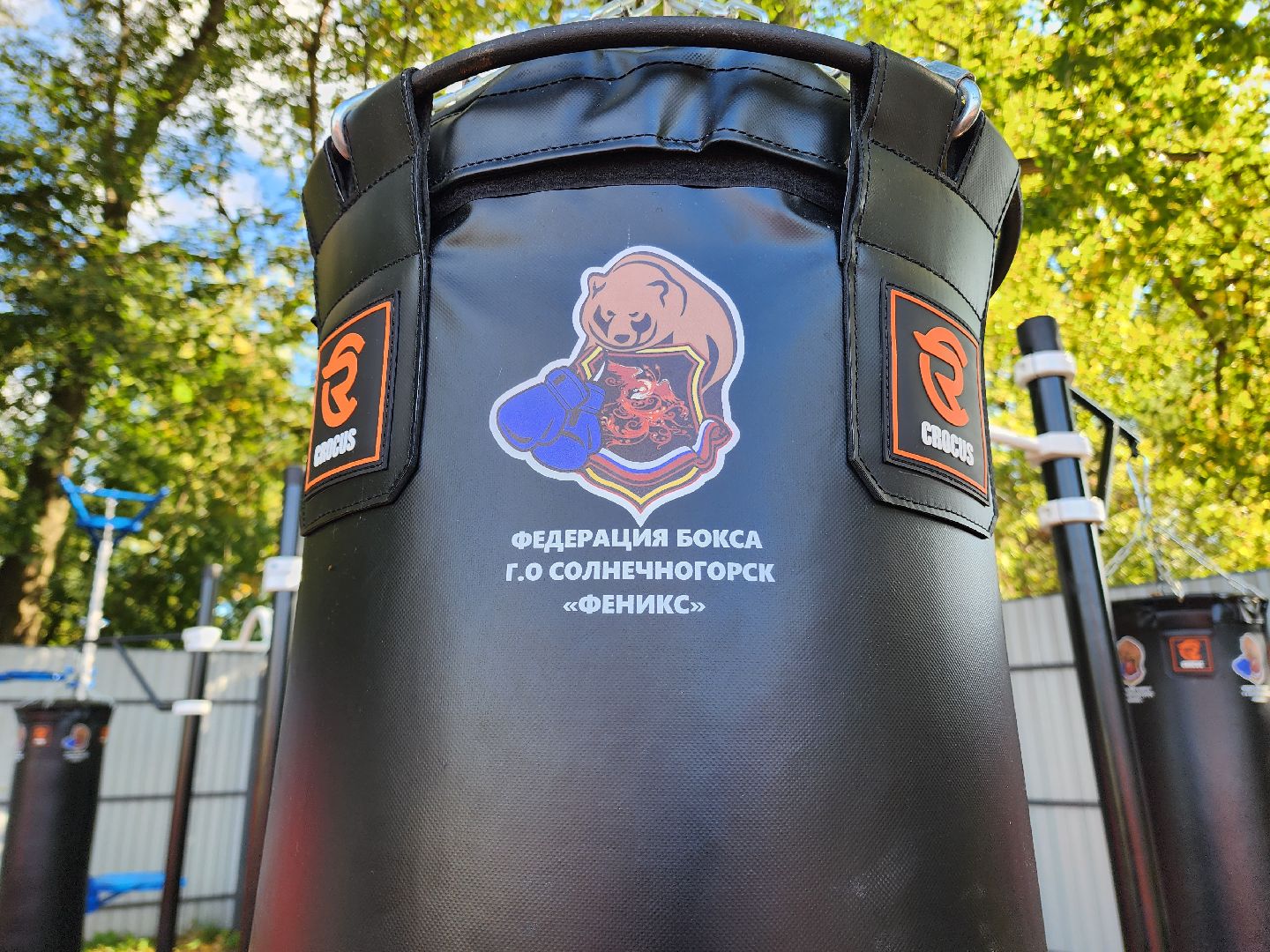 солнечногорск, спорт , бокс, молодежь ,