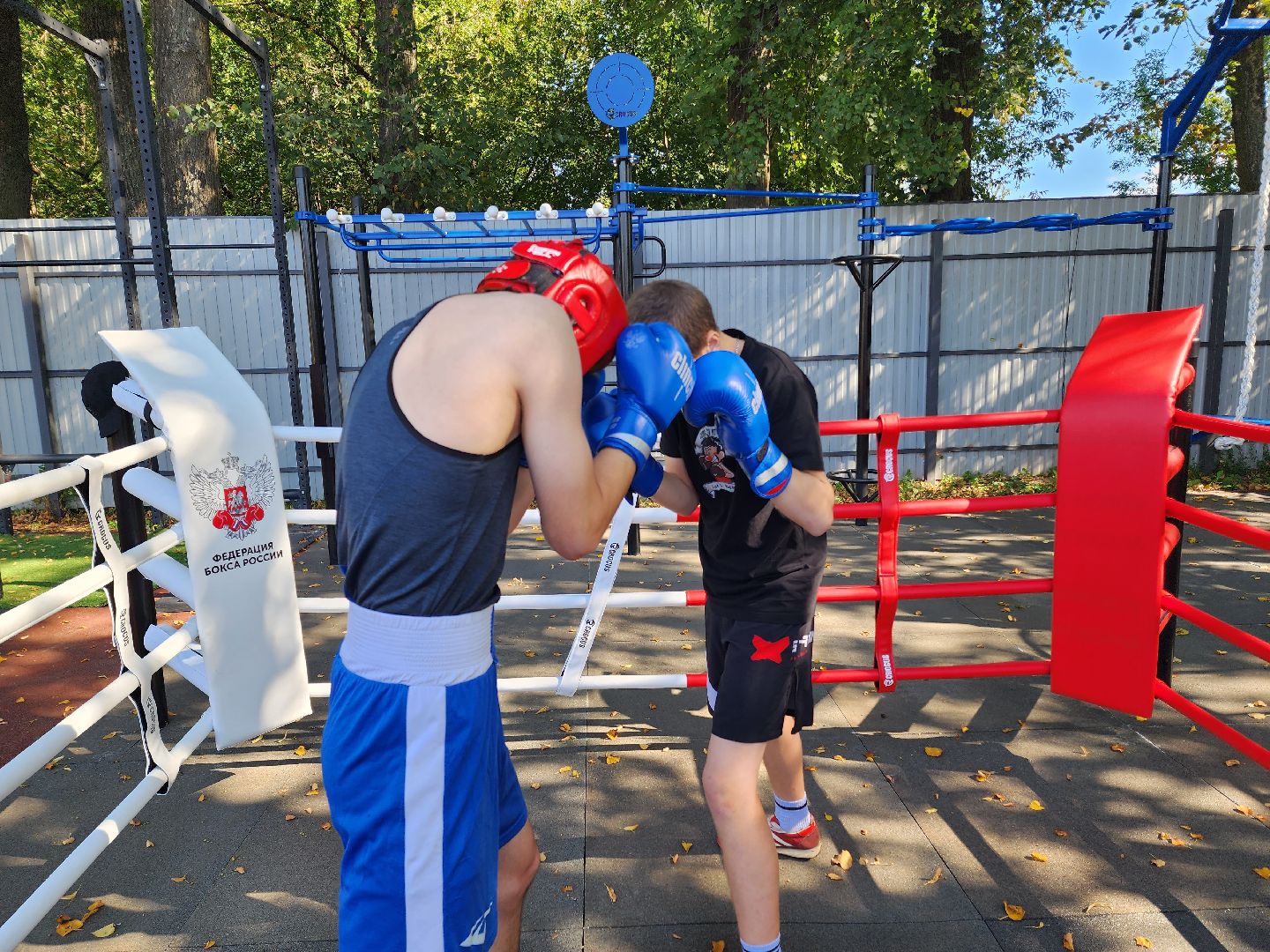 солнечногорск, спорт , бокс, молодежь ,