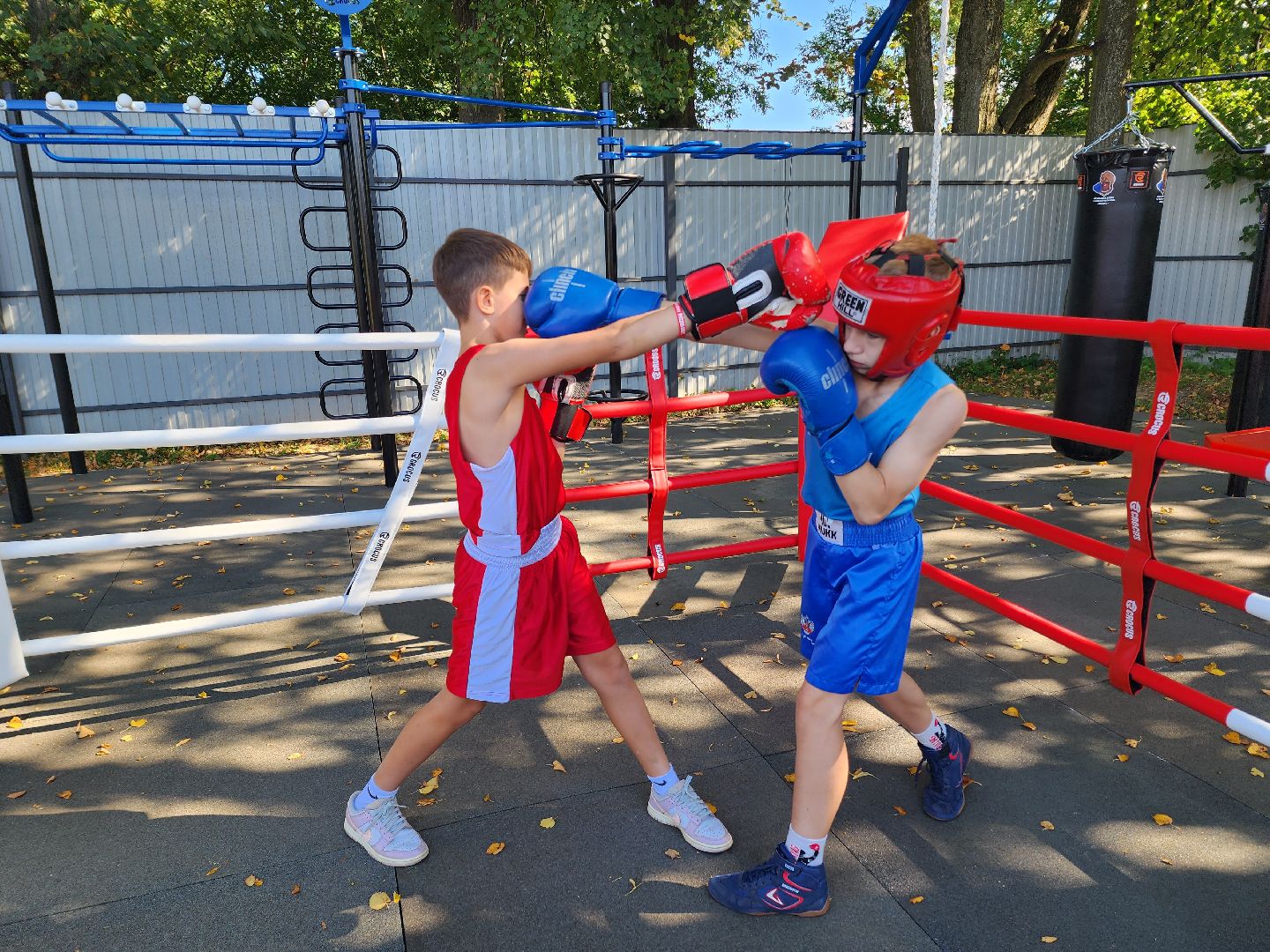 солнечногорск, спорт , бокс, молодежь ,