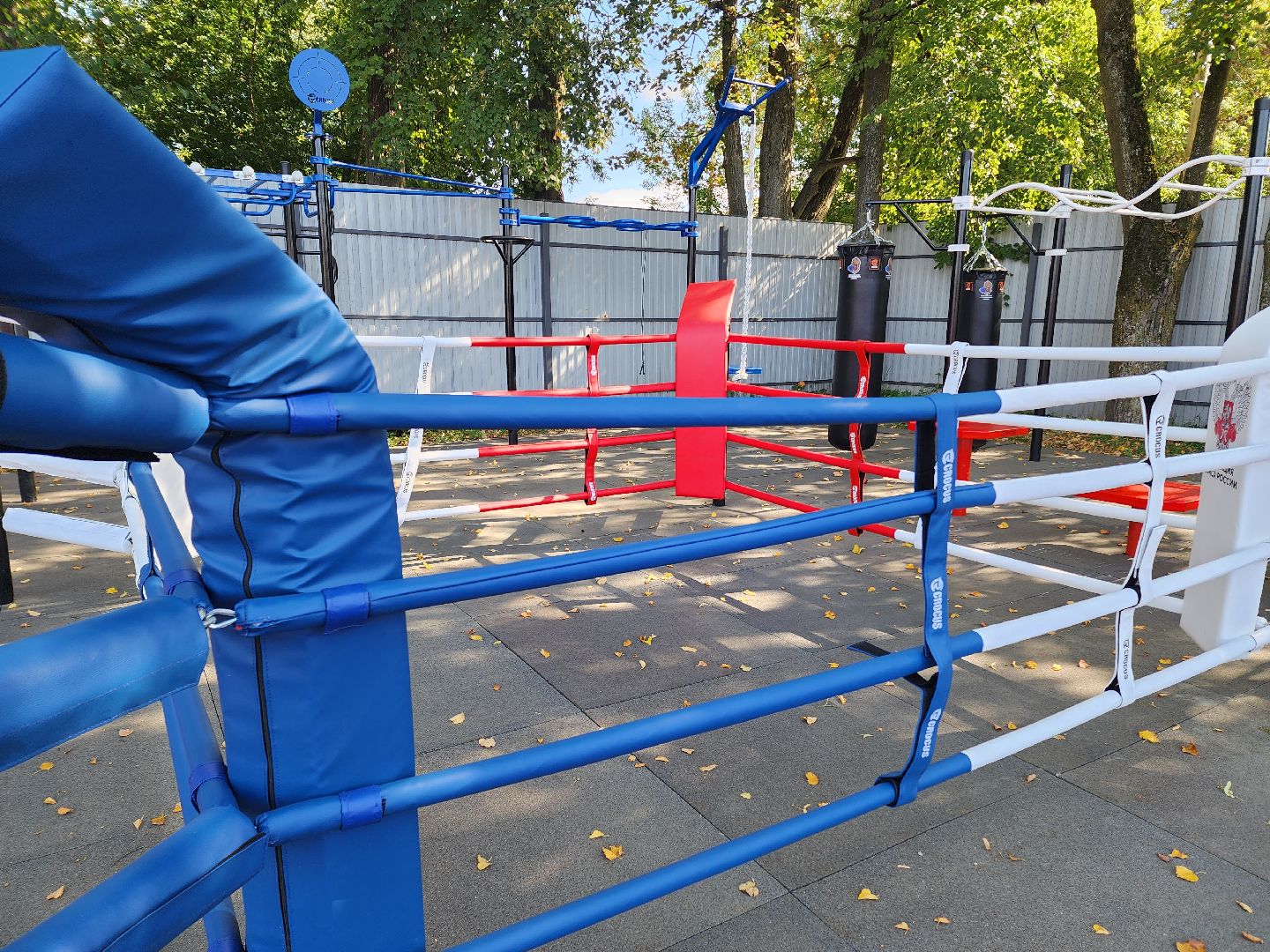 солнечногорск, спорт , бокс, молодежь ,