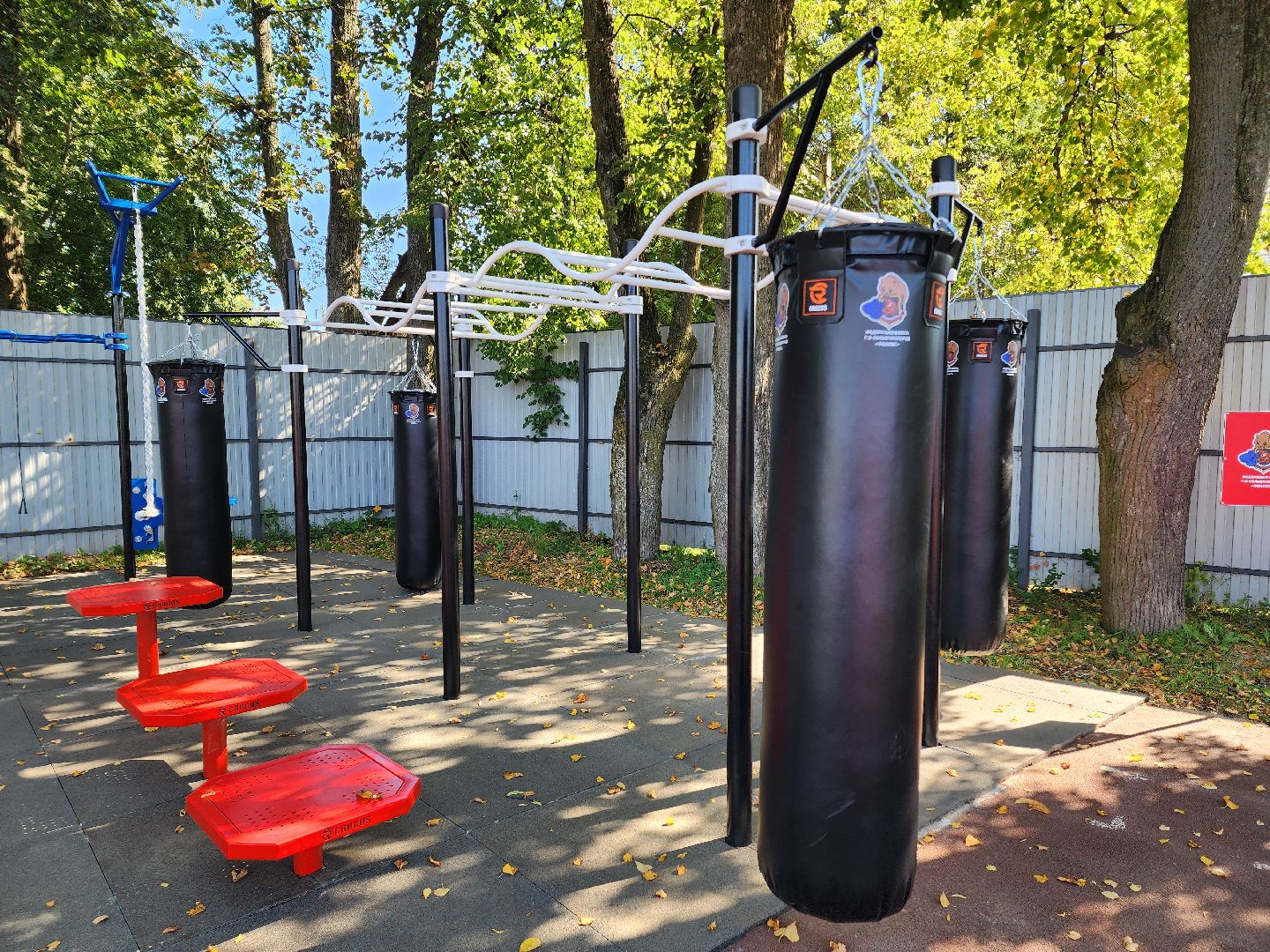 солнечногорск, спорт , бокс, молодежь ,