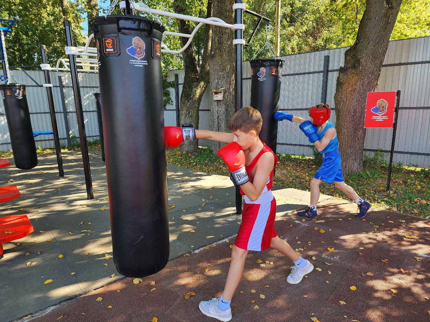 солнечногорск, спорт , бокс, молодежь ,