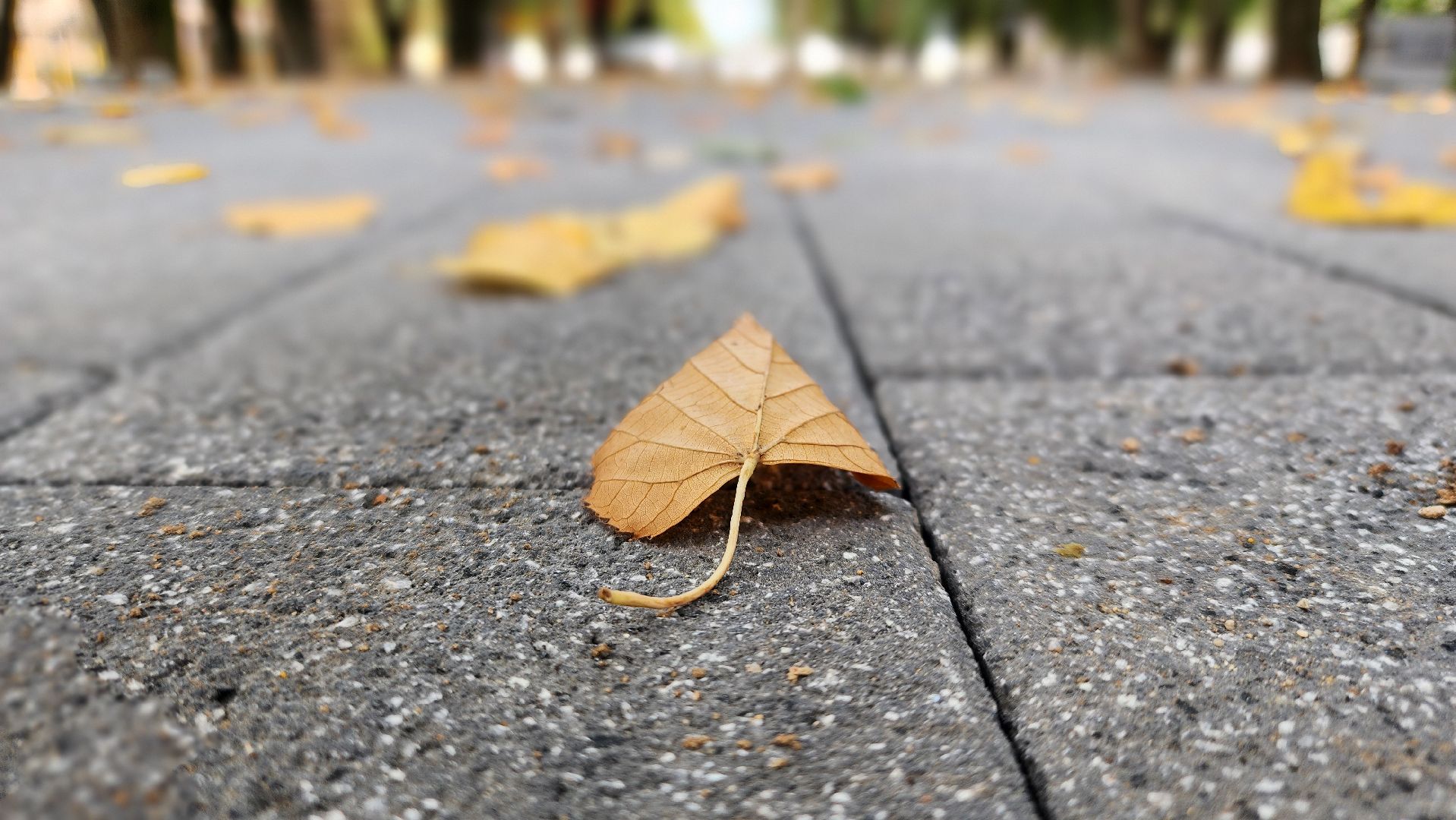 Руза, Благоустройство, Сквер ,