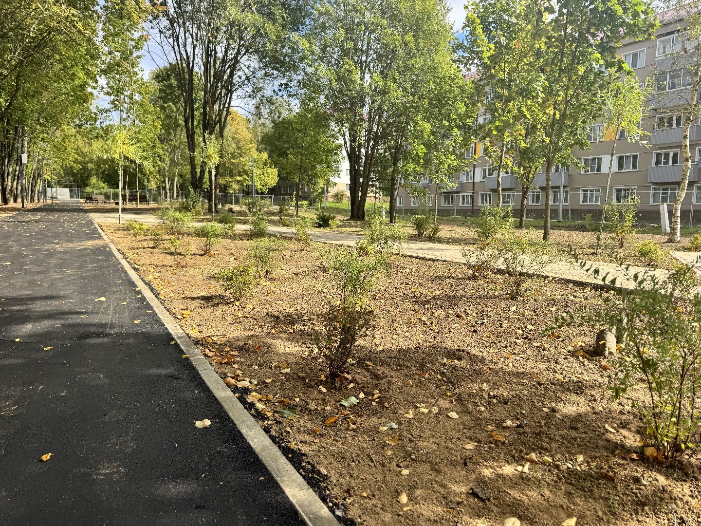 шаховская, рижский сквер, благоуйстройство, новый сквер,место отдыха,